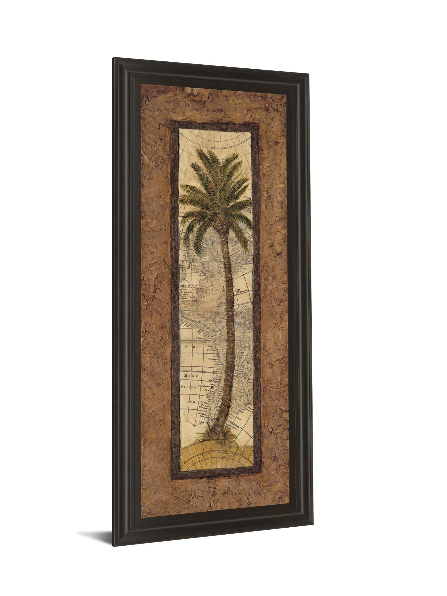 Global View Ii By Charlene Olson 18X42 Framed Print