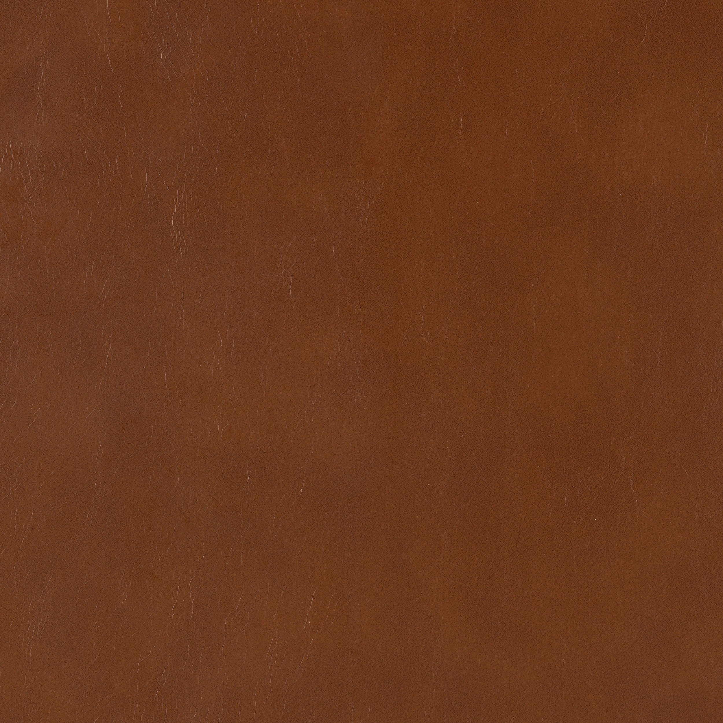 Zuni Faux Leather Upholstered Counter Chair (Set of 2)