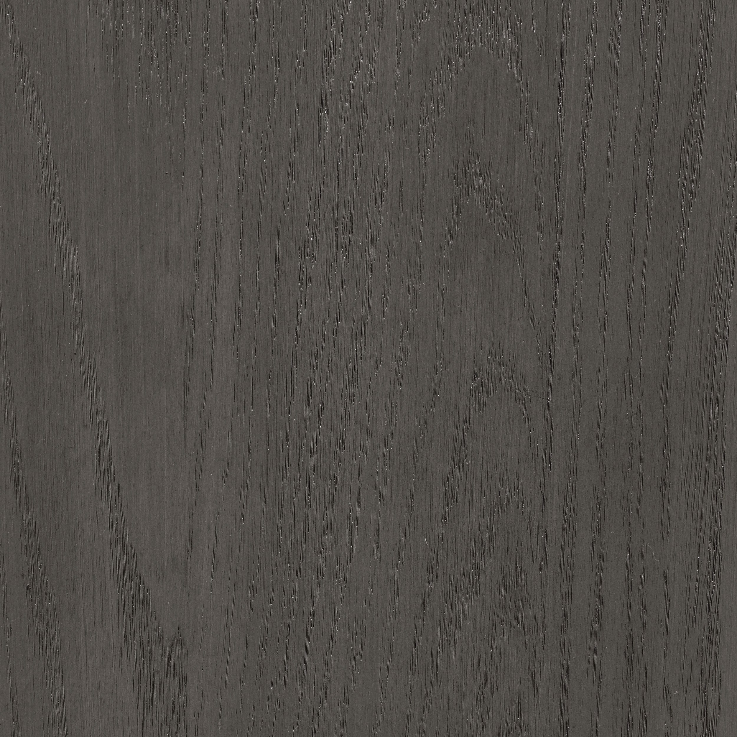 Lavon Padded Dining Side Chairs Medium Grey and Black (Set of 2)