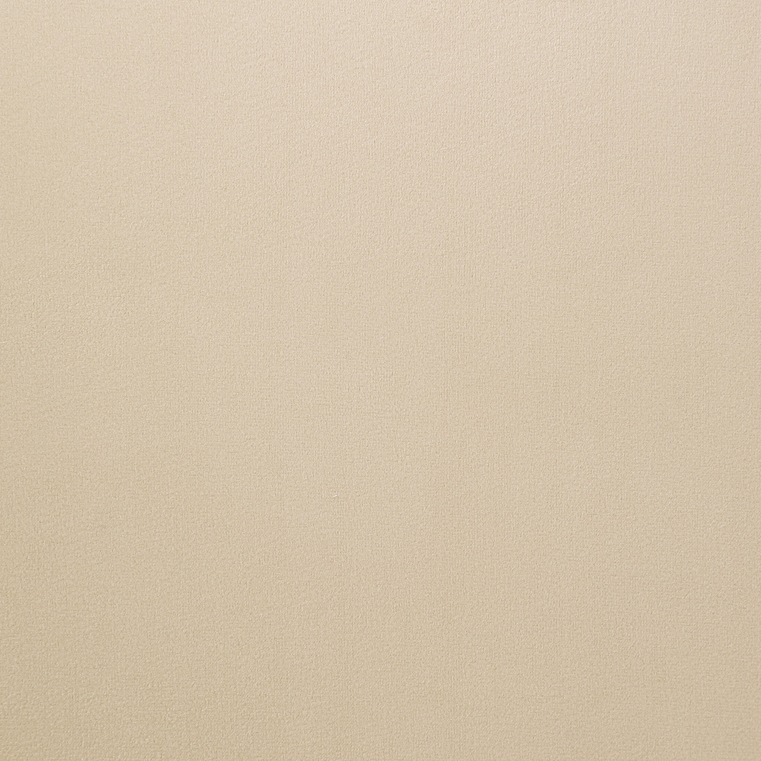 Galiano Velvet Upholstered Dining Arm Chair Beige (Set of 2)