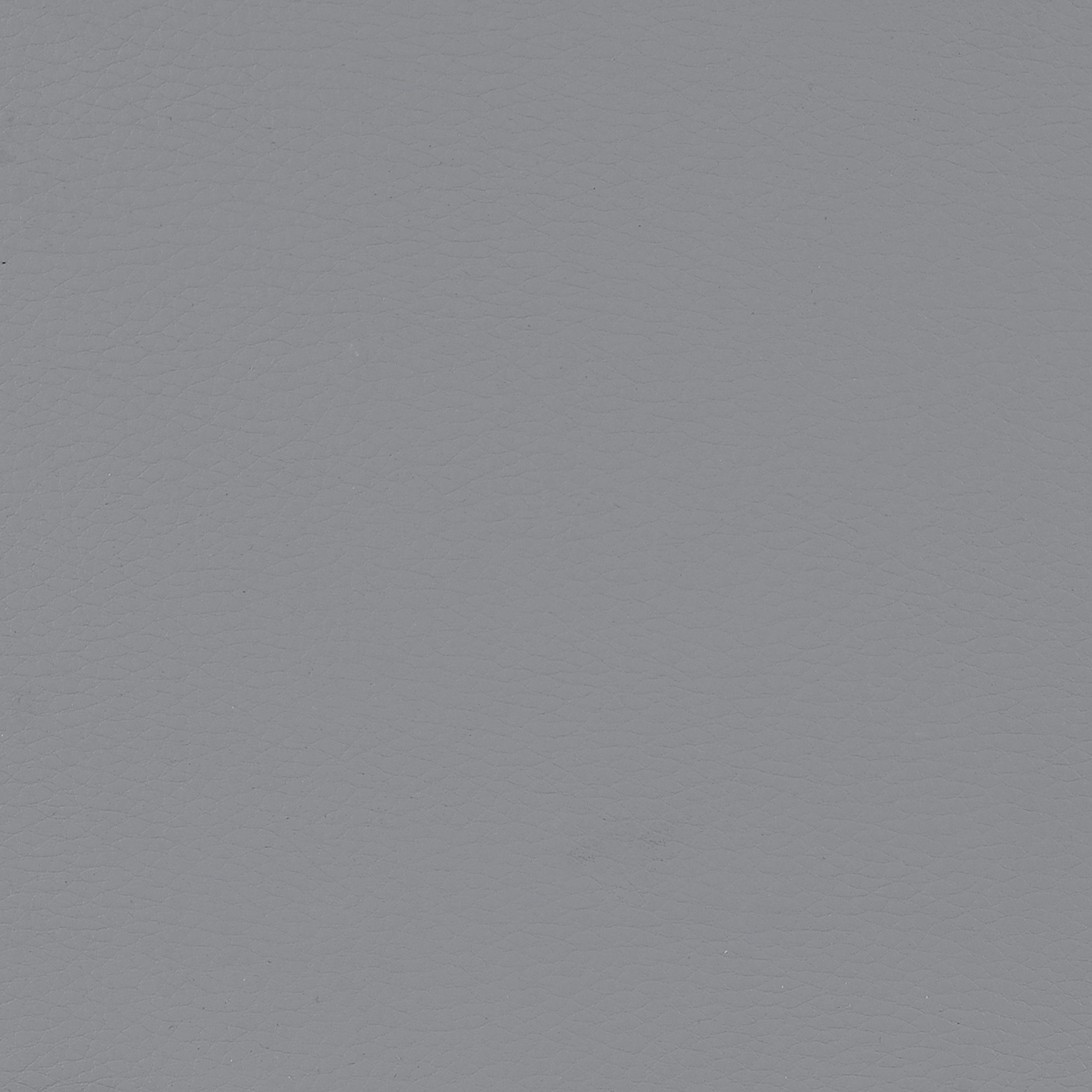 Caballo Polypropylene Dining Side Chair (Set of 2)