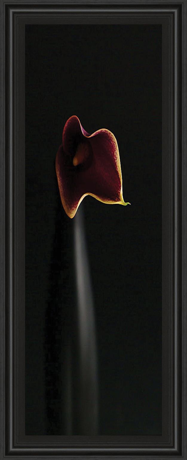 Calla In Ebony By Steven Mitchell 18X42 Framed Print