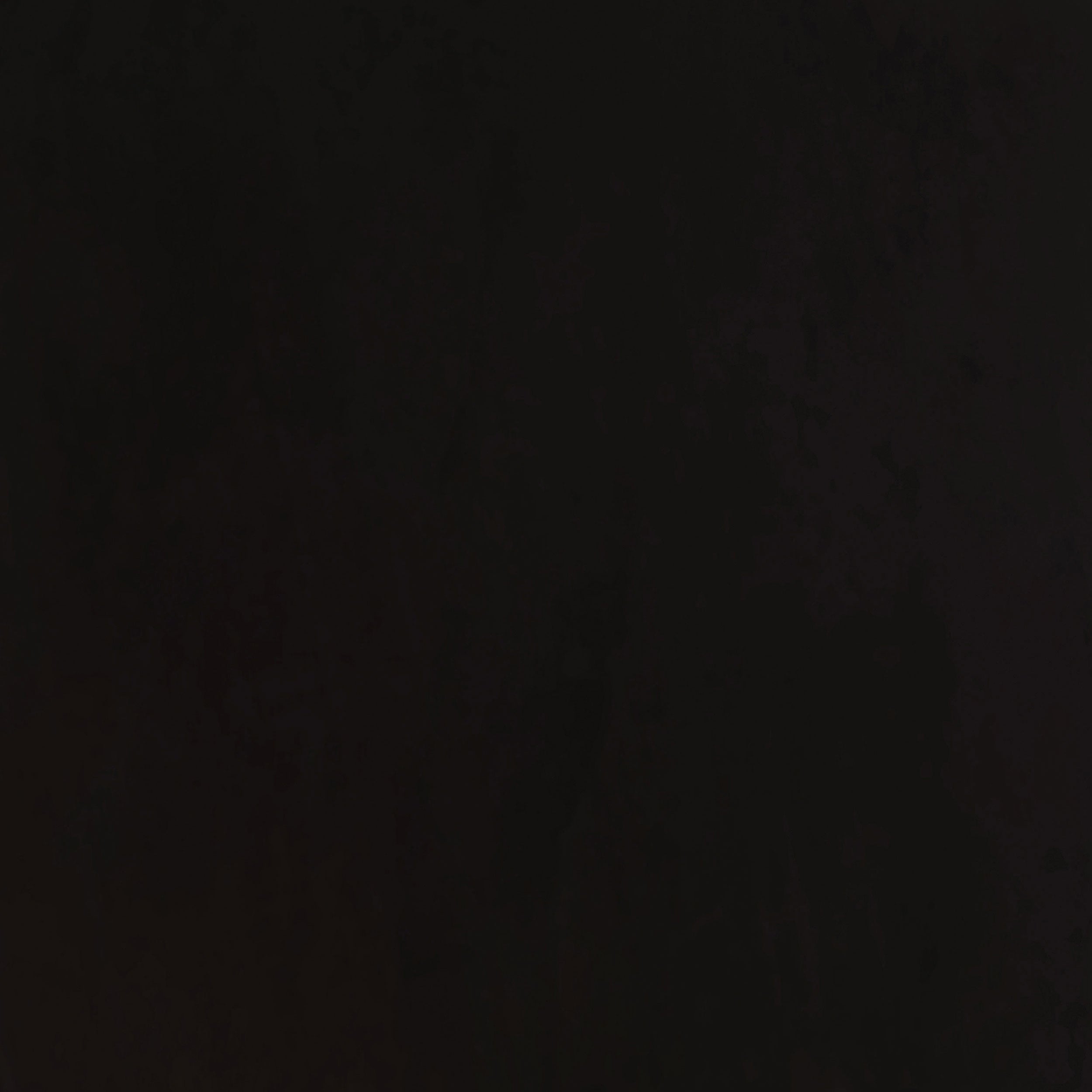 Alana Fabric Upholstered Dining Side Chair (Set of 2)