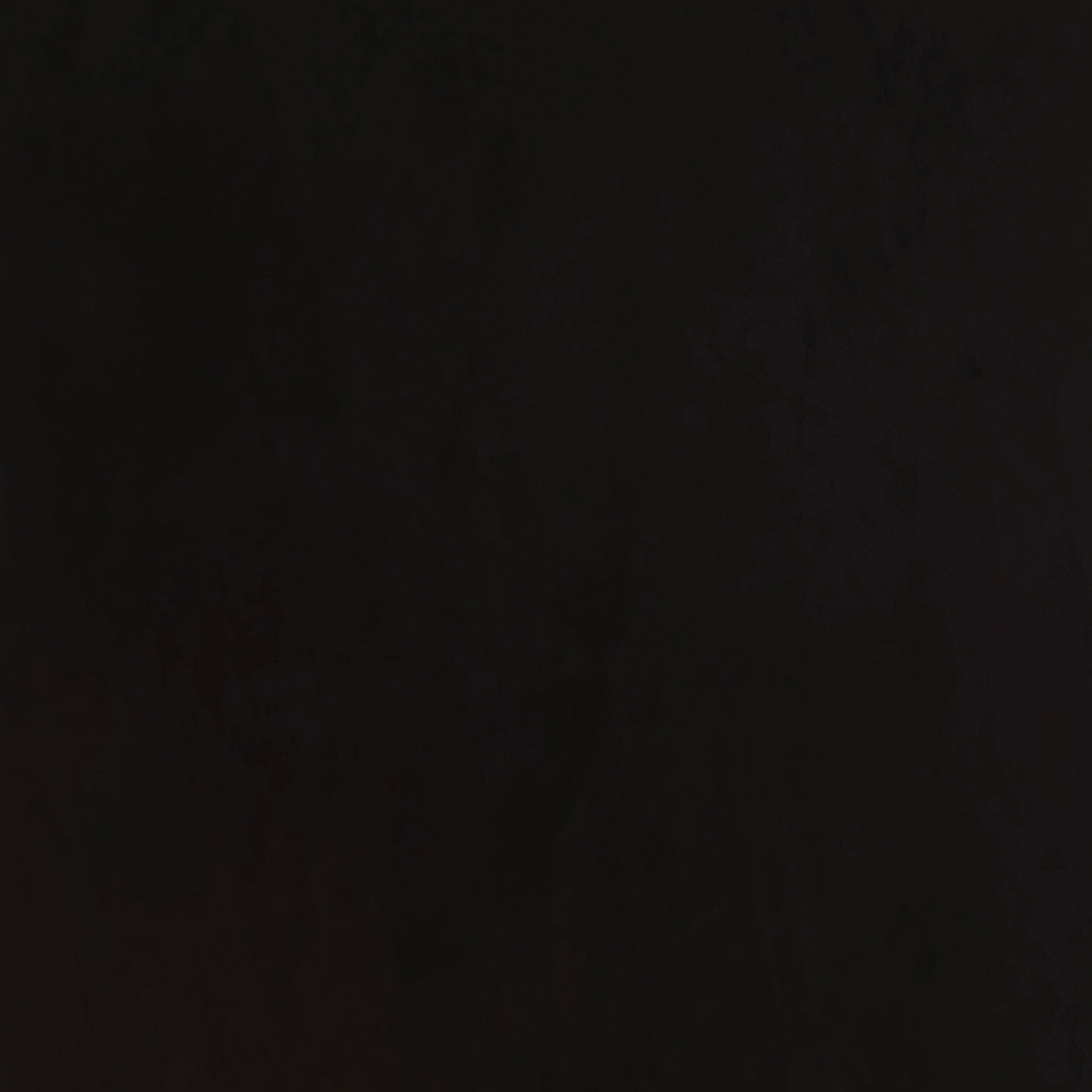 Alana Fabric Upholstered Dining Side Chair (Set of 2)