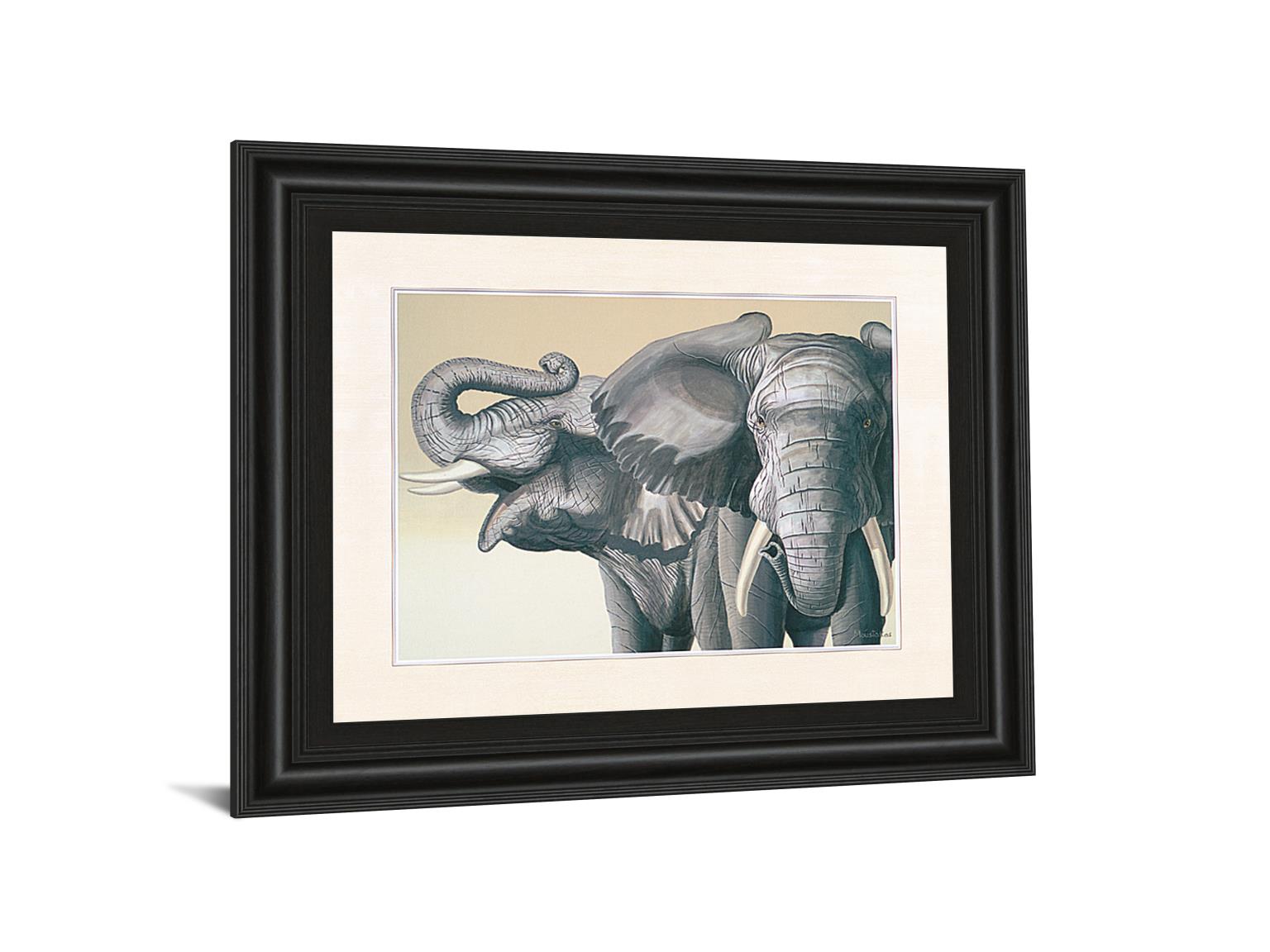 Elephant By Peter Moustakas 22X26 Framed Print