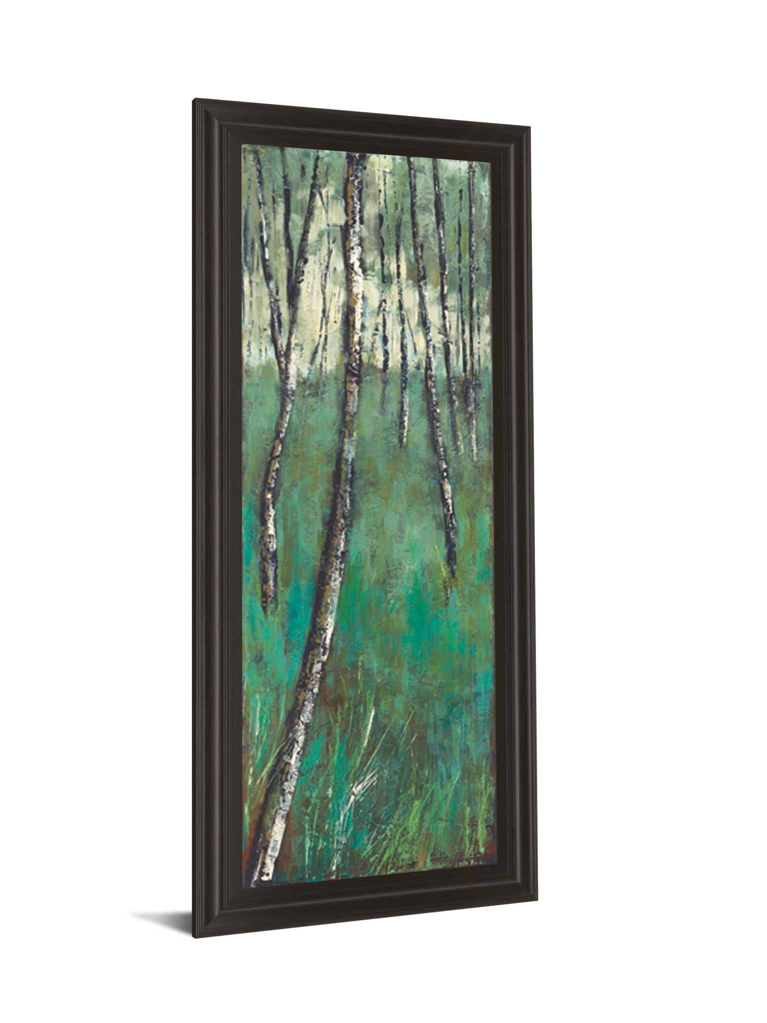 Nature Companion Ii By Solis 18X42 Framed Print