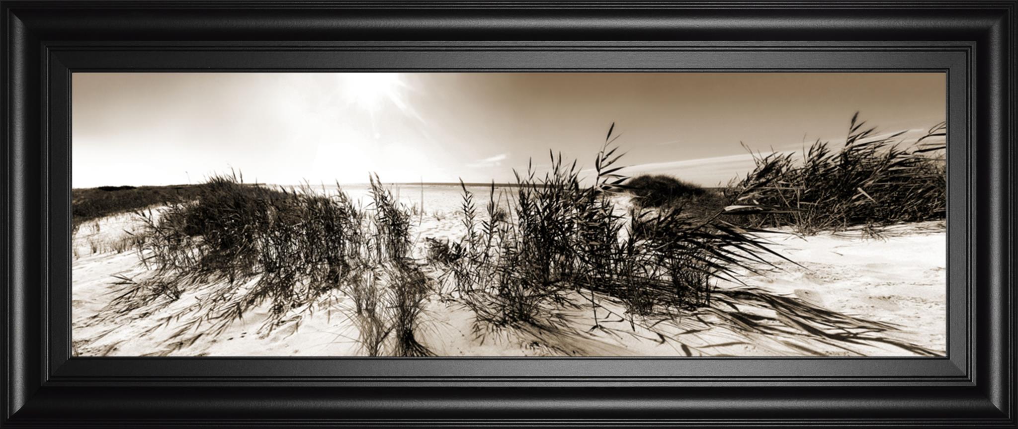 The Wind In The Dunes I By Noah Bay 18X42 Framed Print