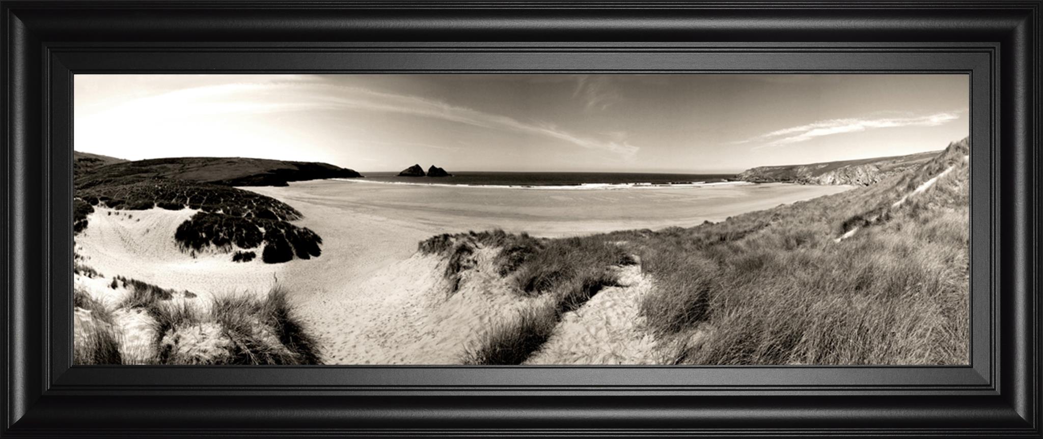 The Wind In The Dunes Ii By Noah Bay 18X42 Framed Print