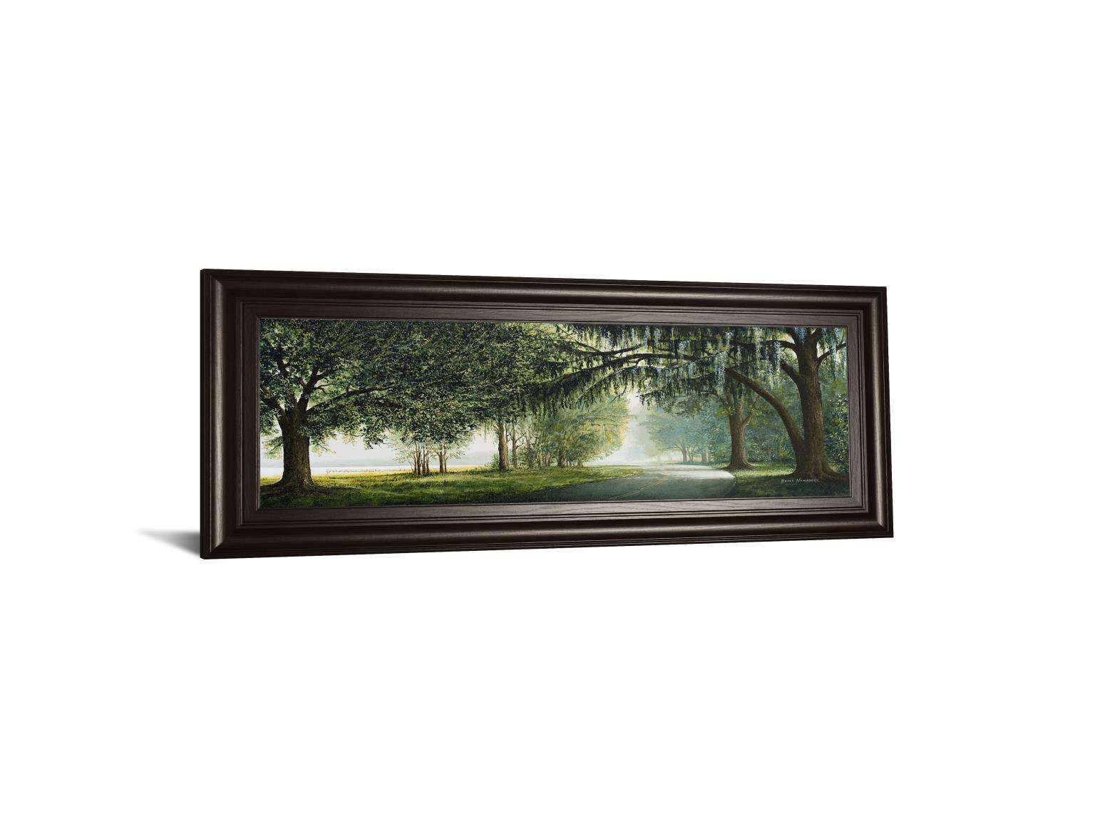 Lake Shore Drive By Bruce Nawrocke 18X42 Framed Print