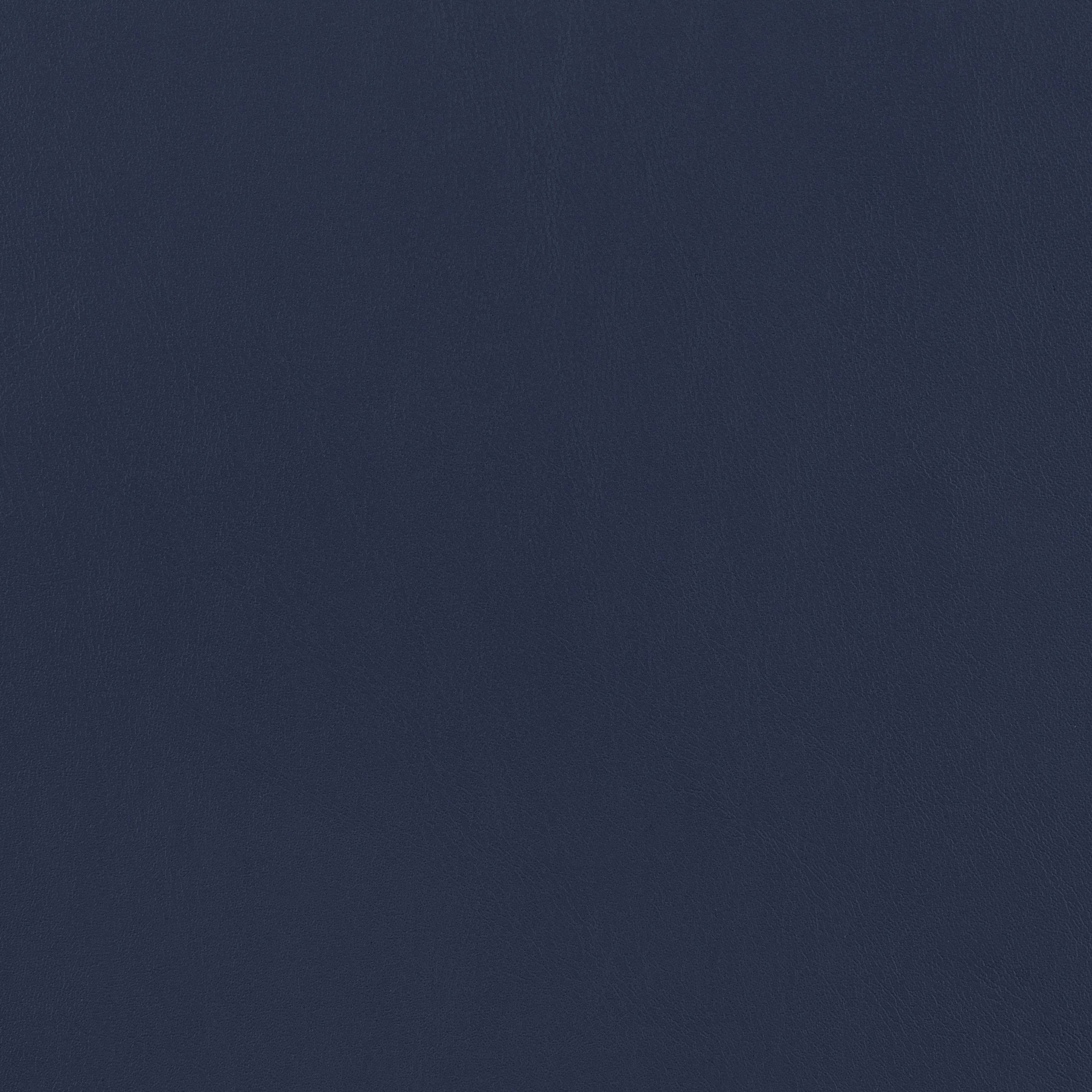 Mayer Upholstered Tufted Side Chairs (Set of 2) Blue and Brown