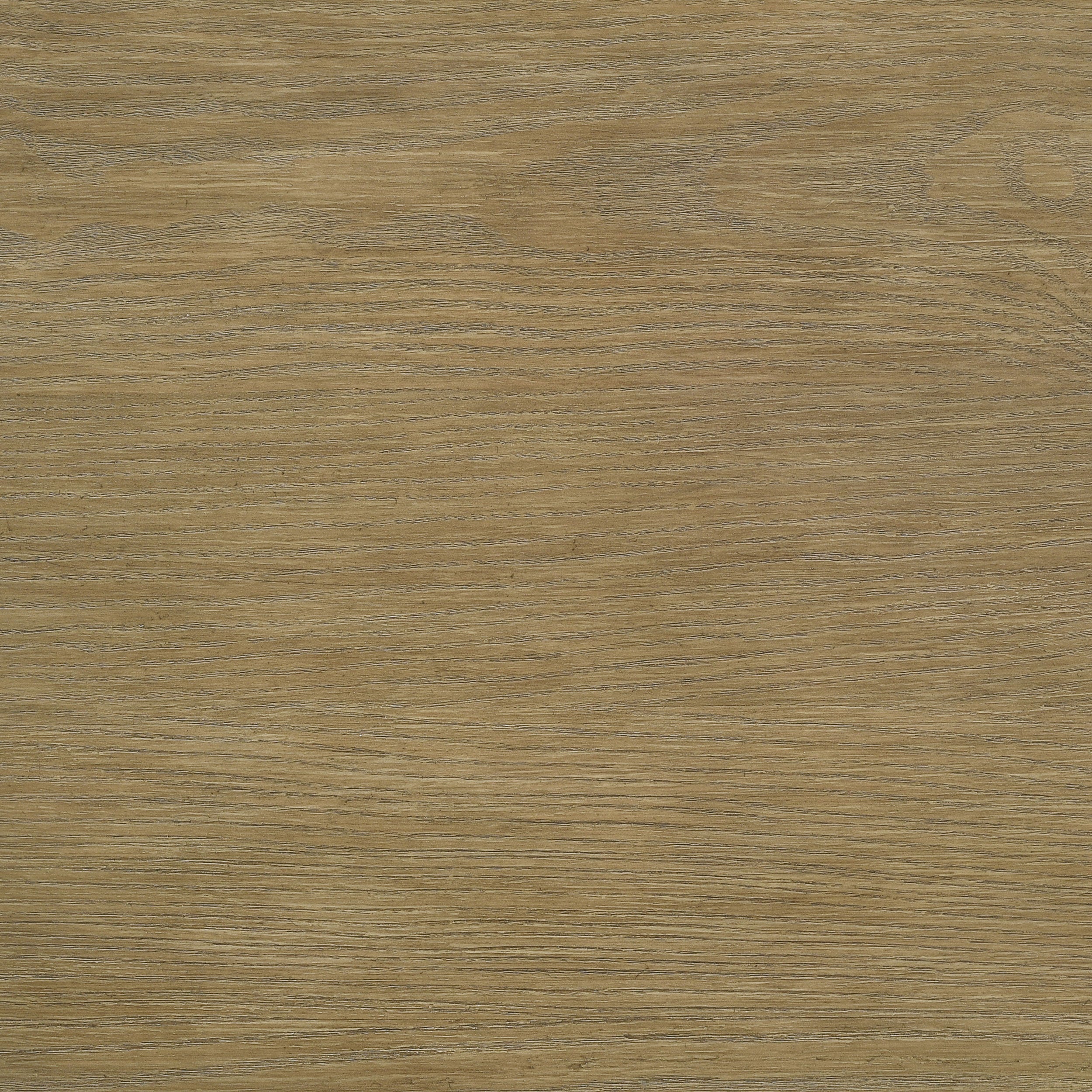 Arini 56-inch Panel Bed