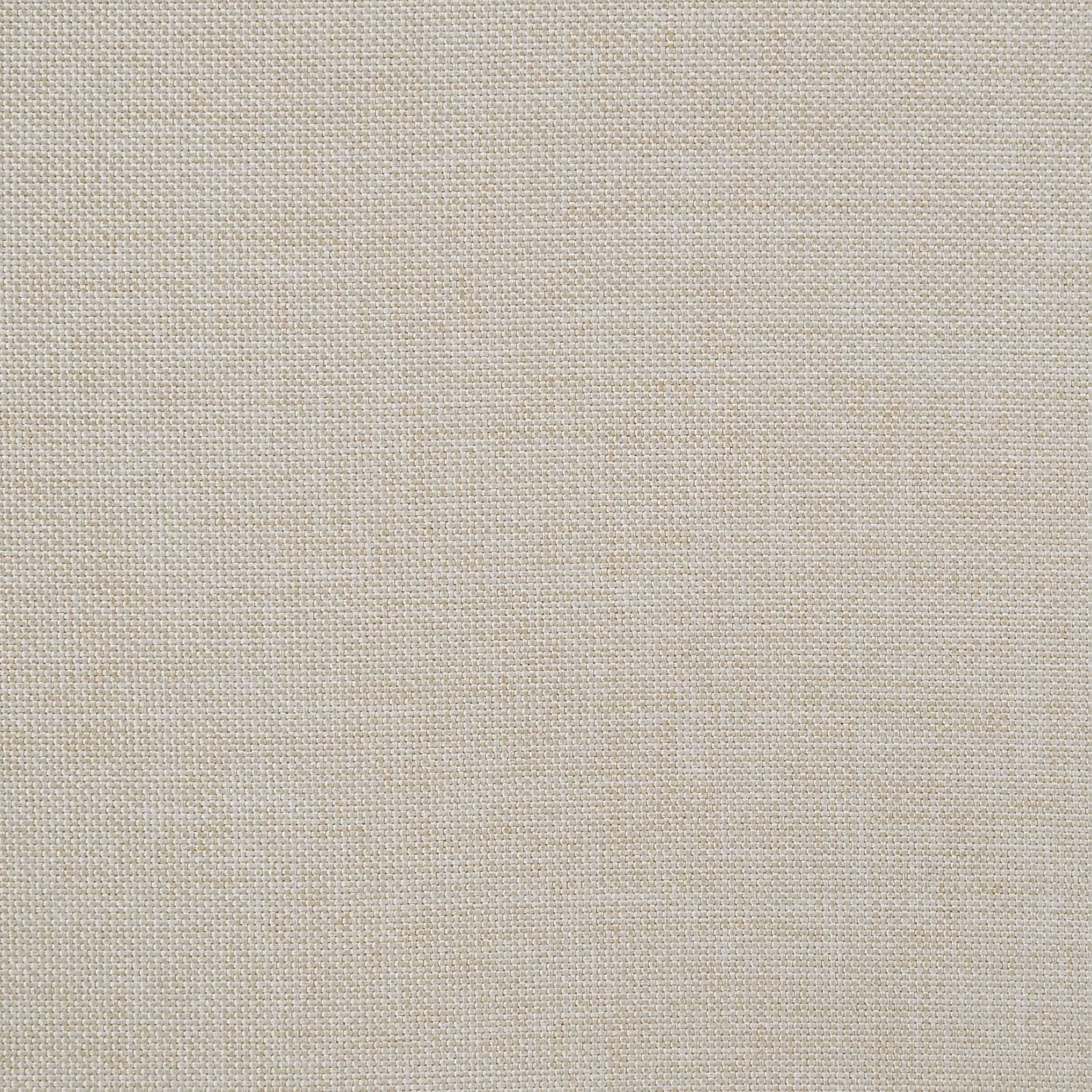 Olivia Upholstered Twin Daybed with Nailhead Trim