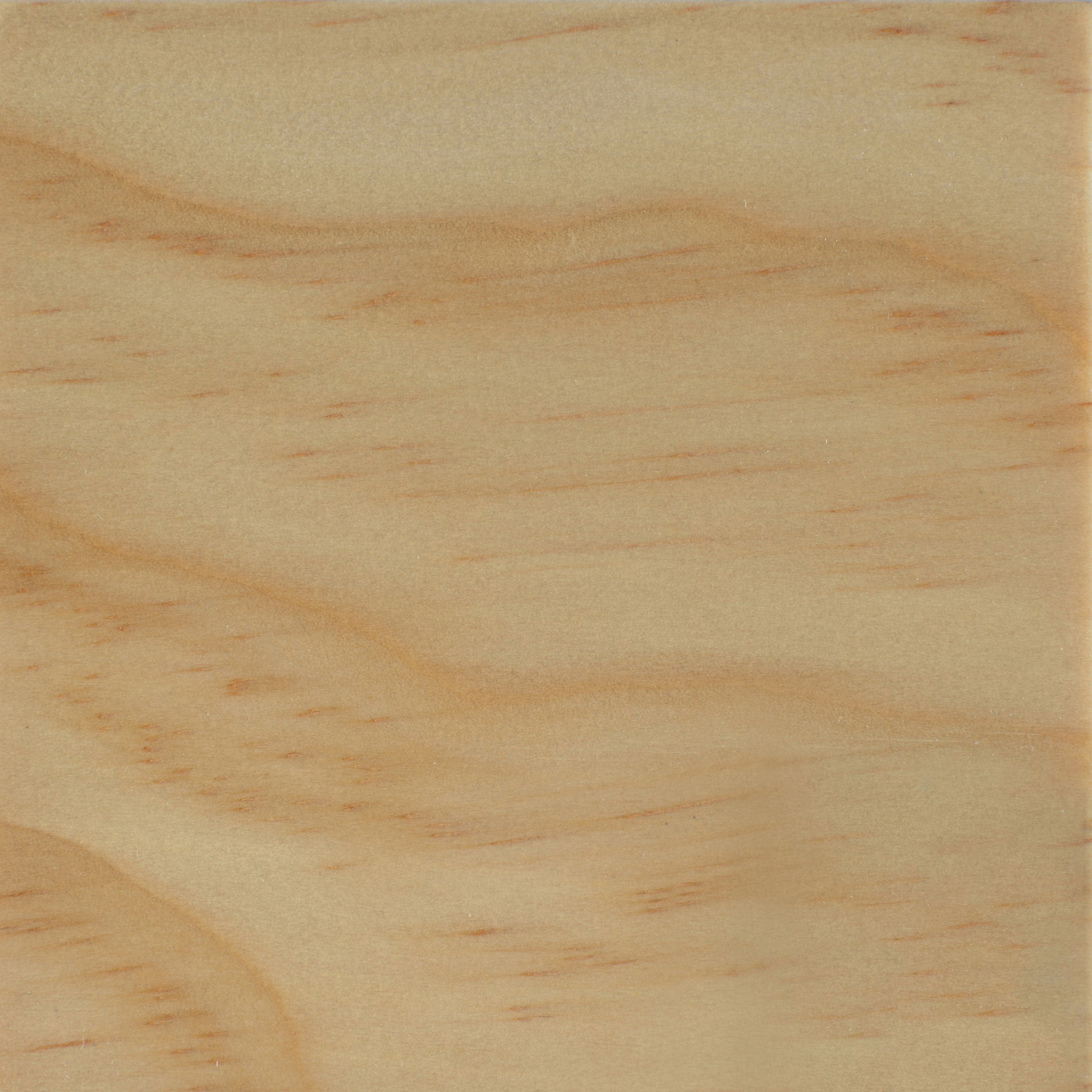 Carrie 3-Panel Room Divider Folding Shoji Screen