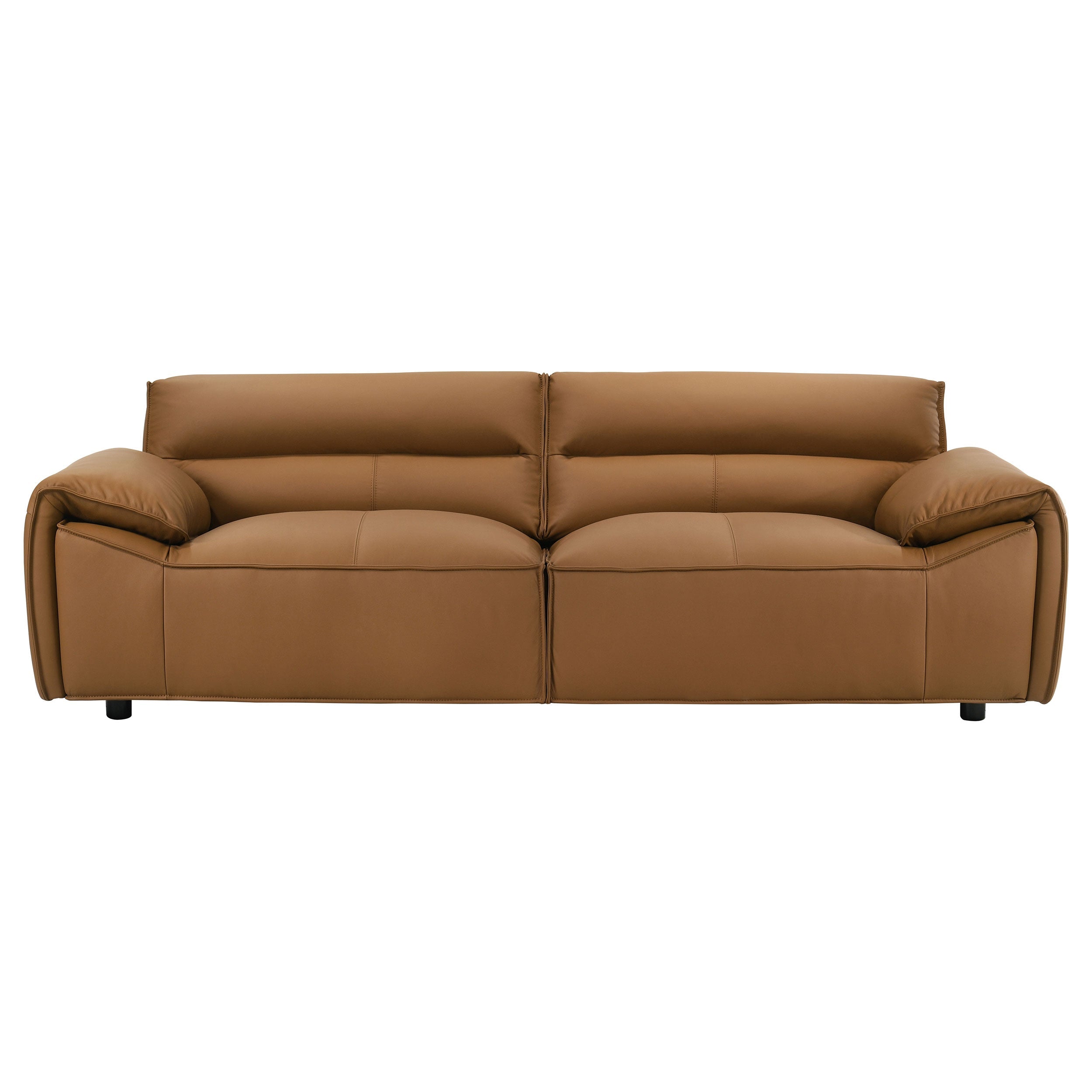 Buxton Top Grain Leather Upholstered Sofa