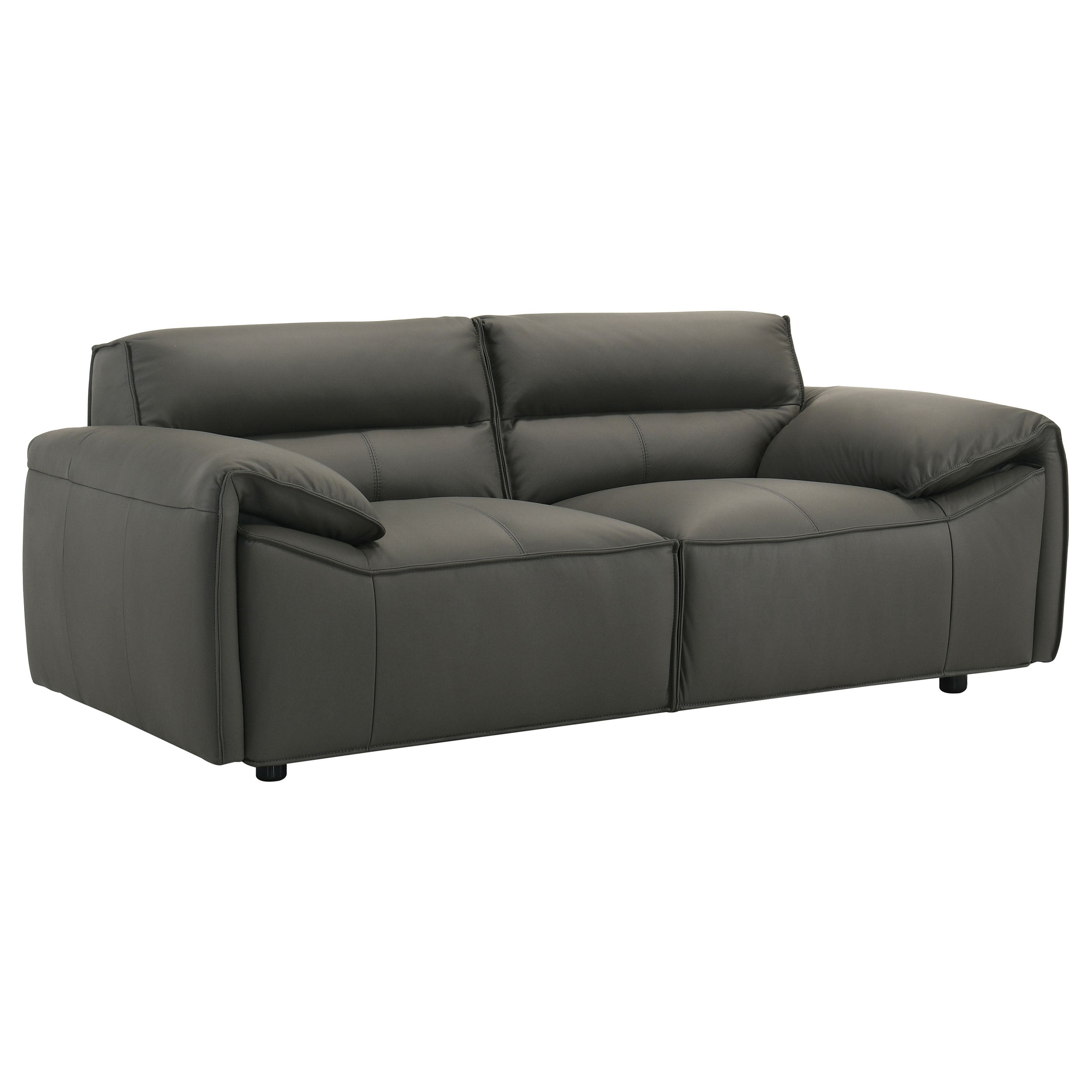 Buxton Leather Upholstered Sofa Set