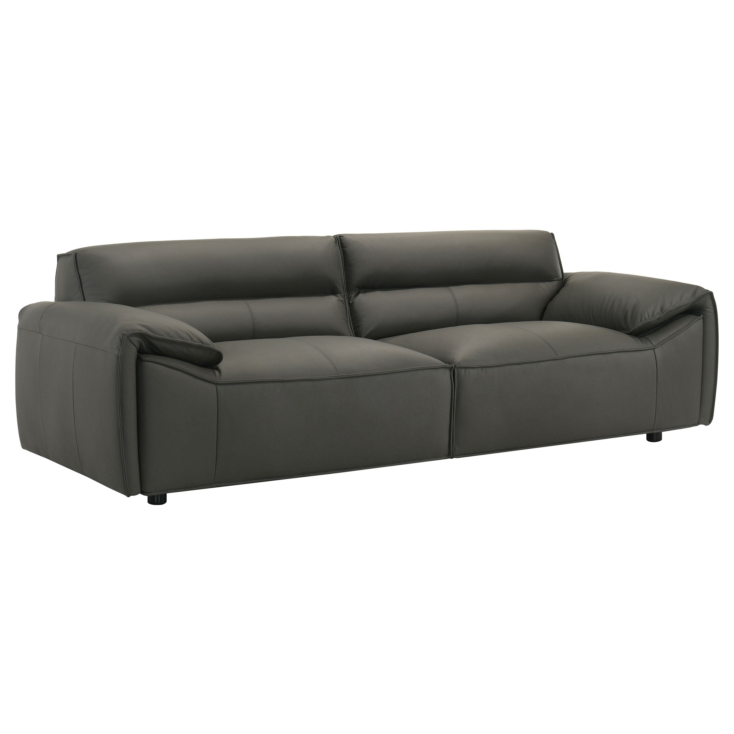 Buxton Top Grain Leather Upholstered Sofa