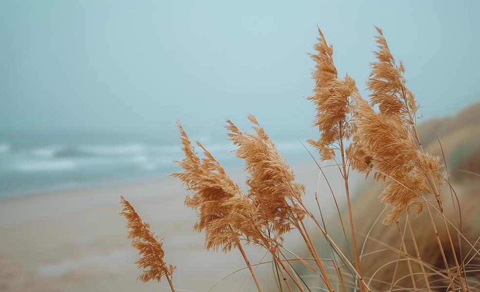 Blowing In The Wind Giclee Canvas