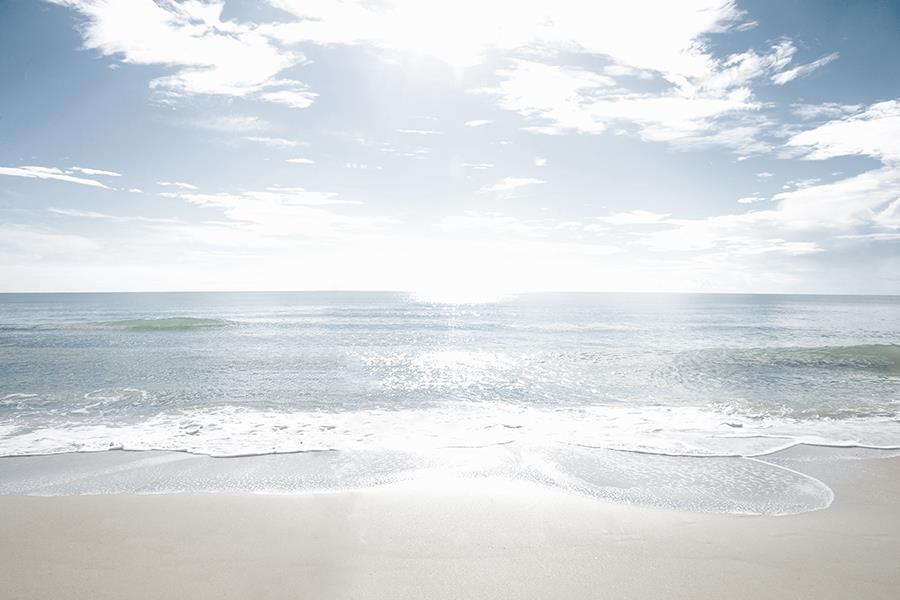 Sandy Beach By Danita Delimont Giclee Canvas