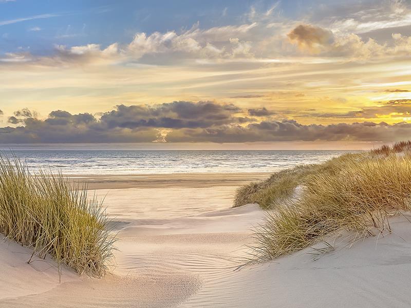 Pink Sand Sunset By Mike Calascibetta Giclee Canvas