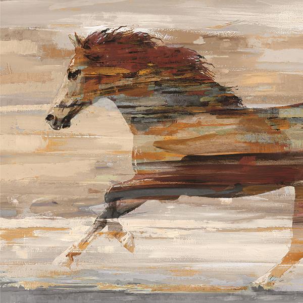 Galloping Beauty By Amber Sterling Giclee Canvas