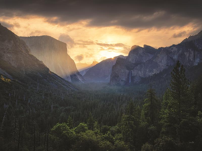 Yosemite Dreams By Martin Podt Photography Giclee Canvas