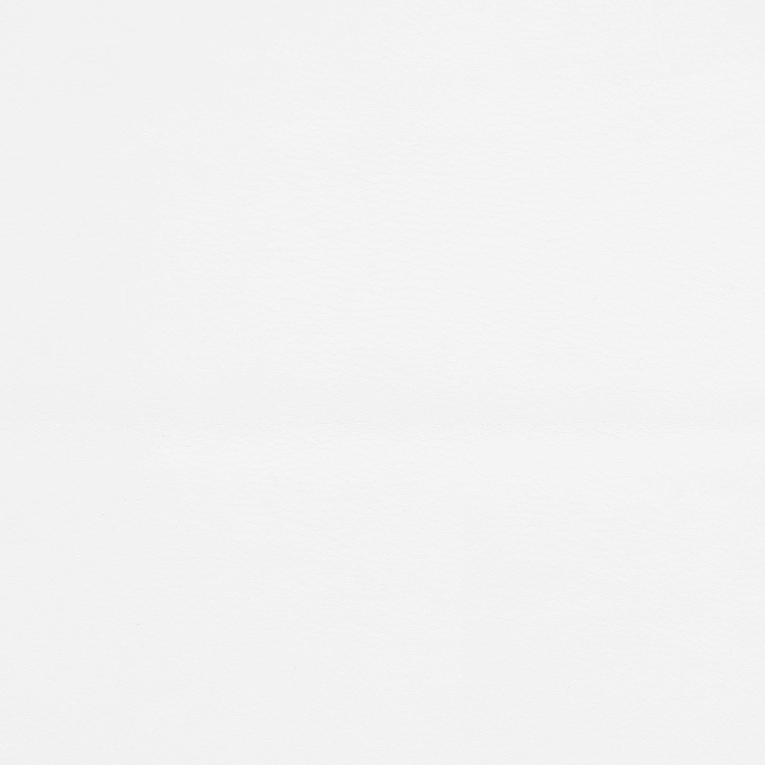 Bruce Adjustable Height Office Chair White and Silver