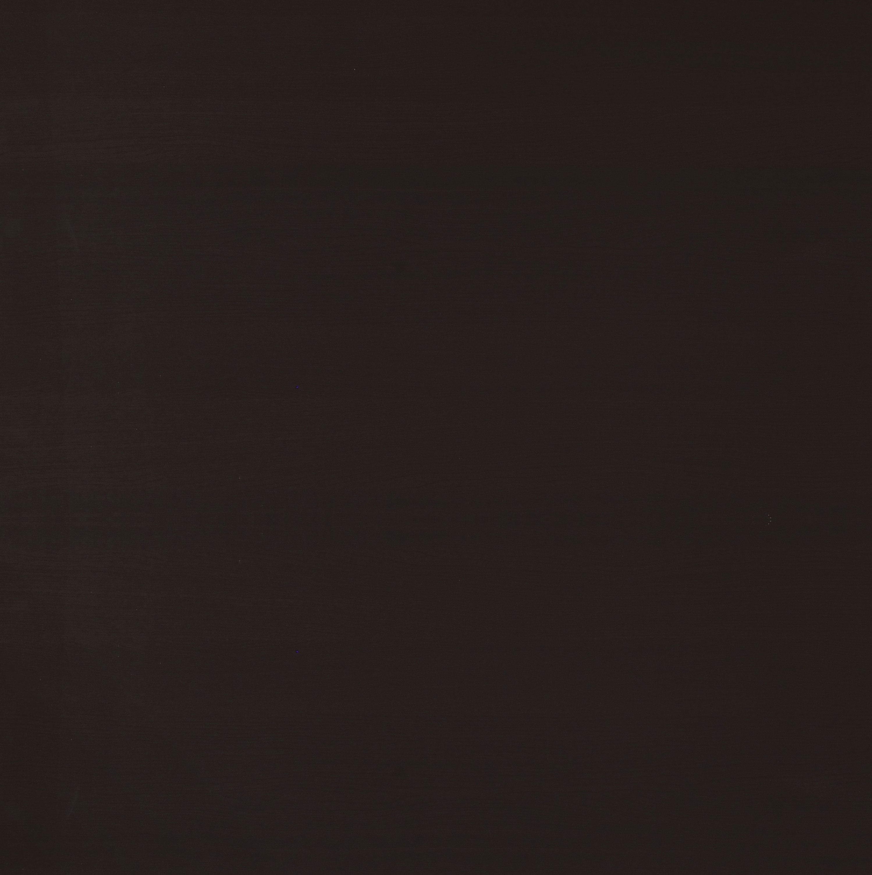 Corey 71-inch 8-shelf Bookshelf