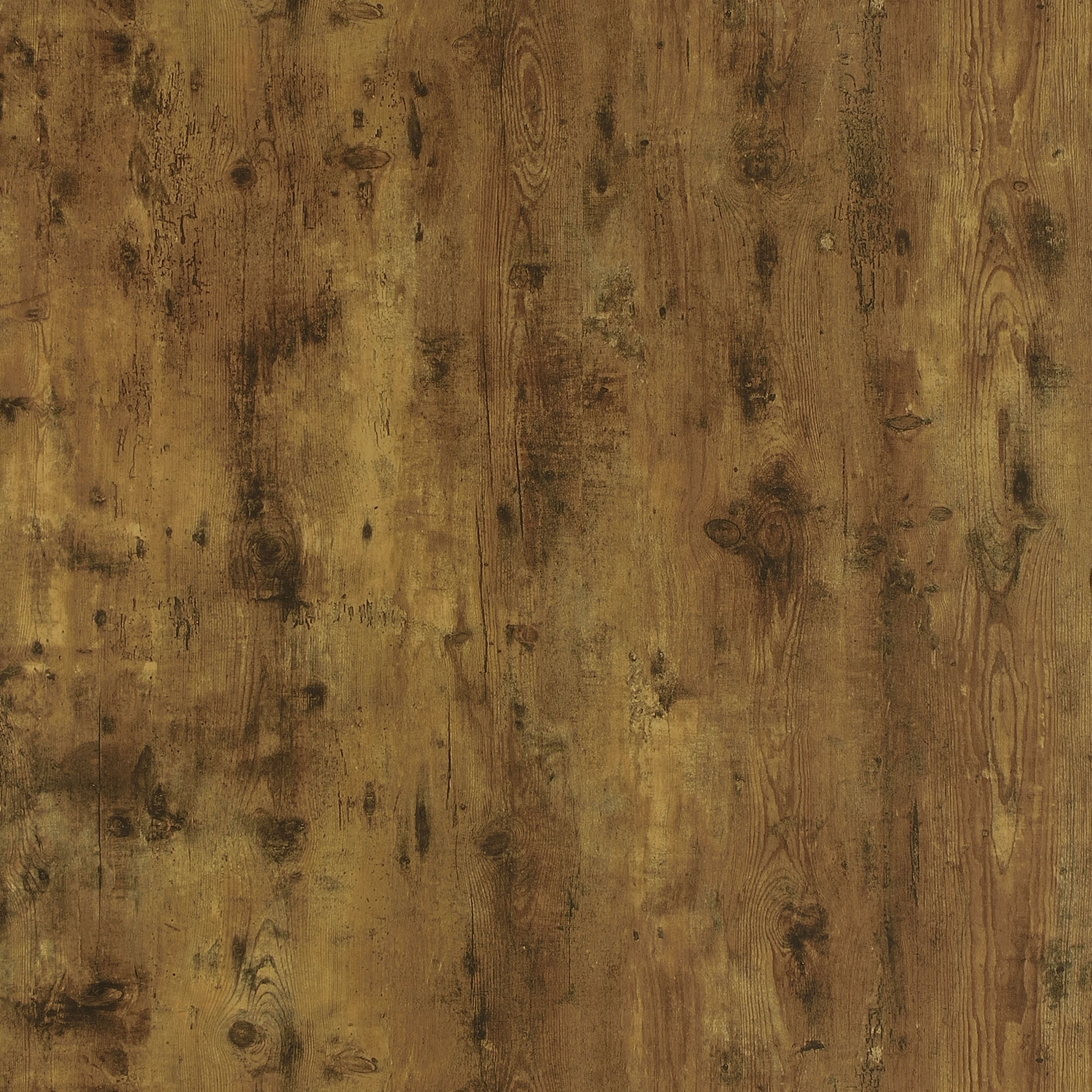 Analiese 63-inch 4-shelf Bookshelf