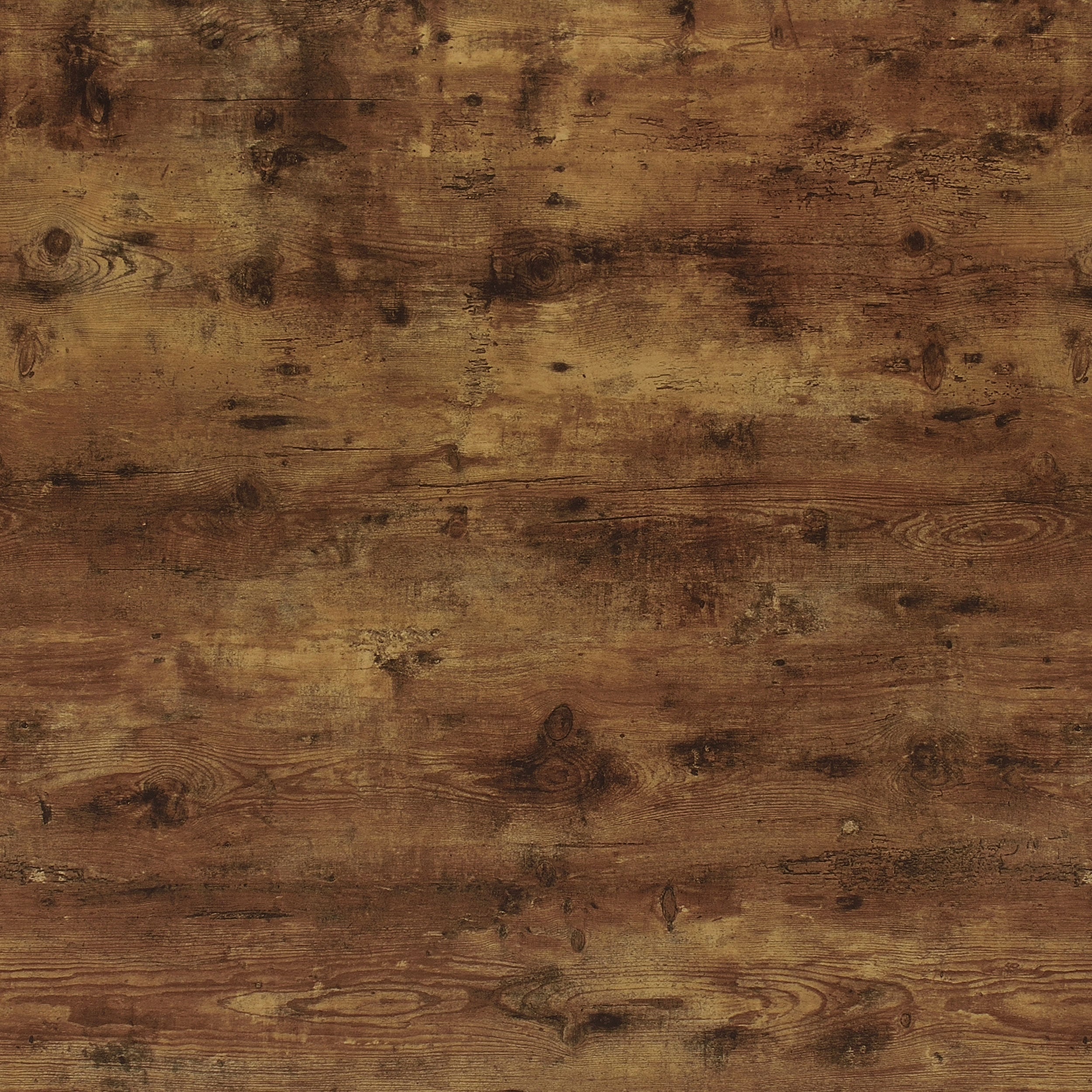 Analiese 63-inch 4-shelf Double Bookshelf