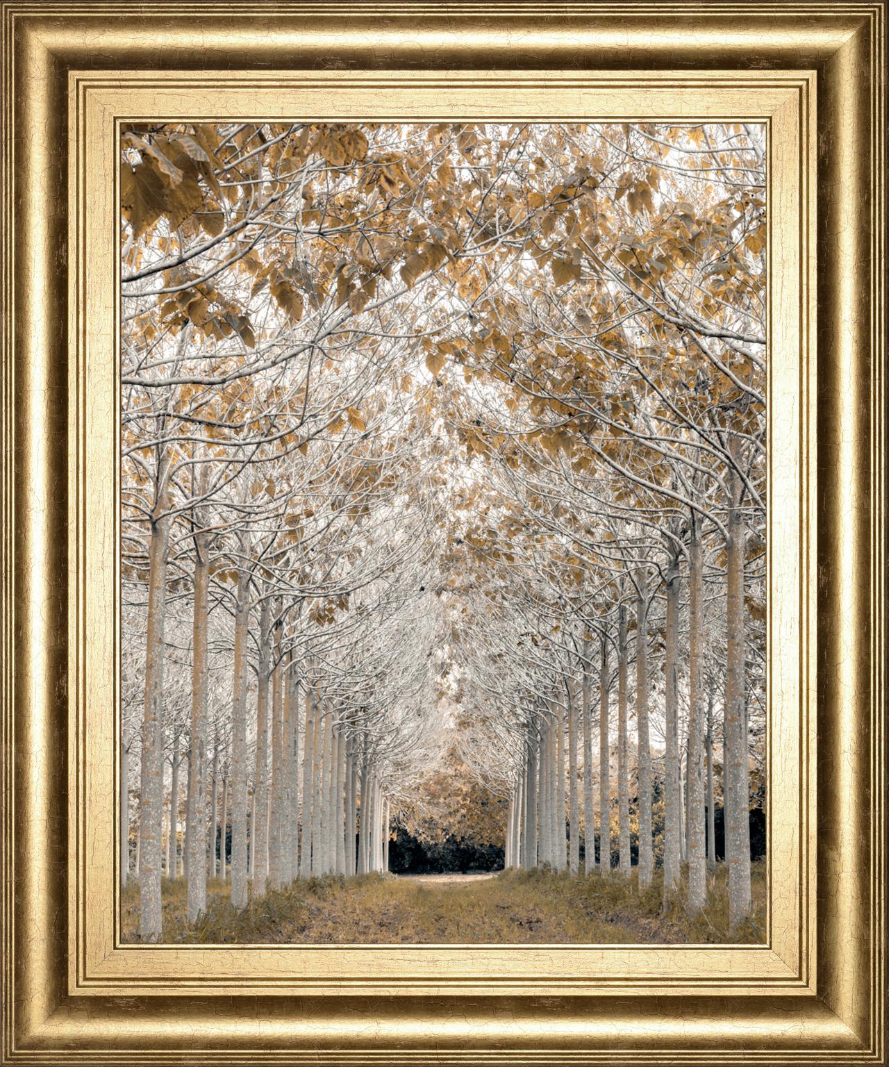 White Gold By Assaf Frank 22X26 Framed Print