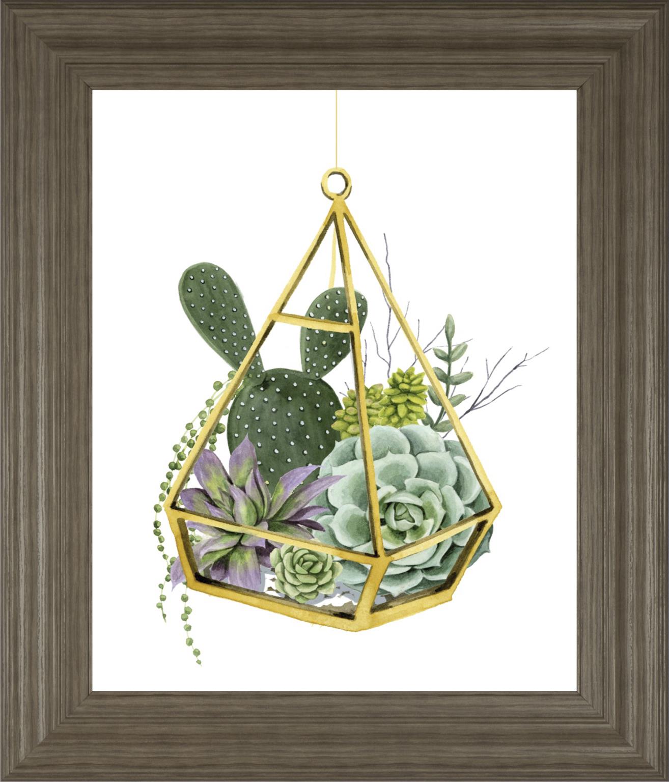 Wild Terrarium I By Grace Popp 22X26 Framed Print