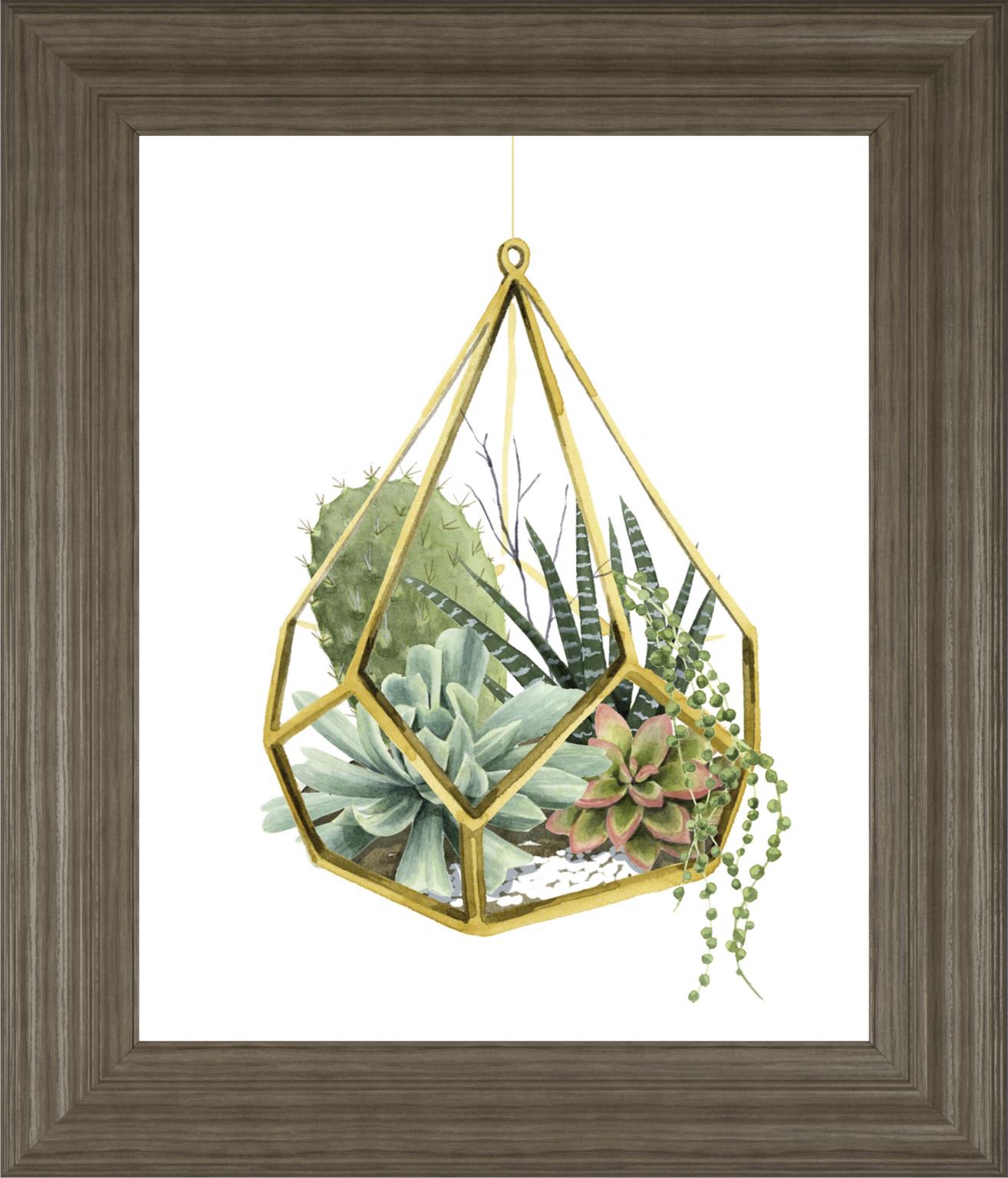Wild Terrarium Ii By Grace Popp 22X26 Framed Print