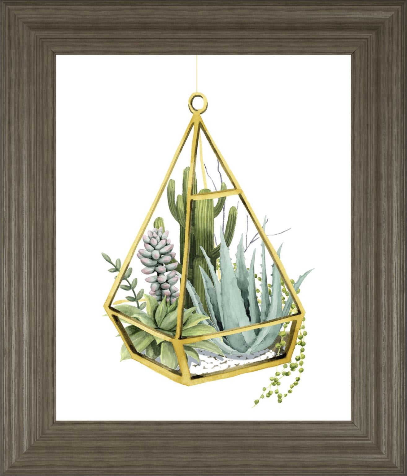 Wild Terrarium Iii By Grace Popp 22X26 Framed Print