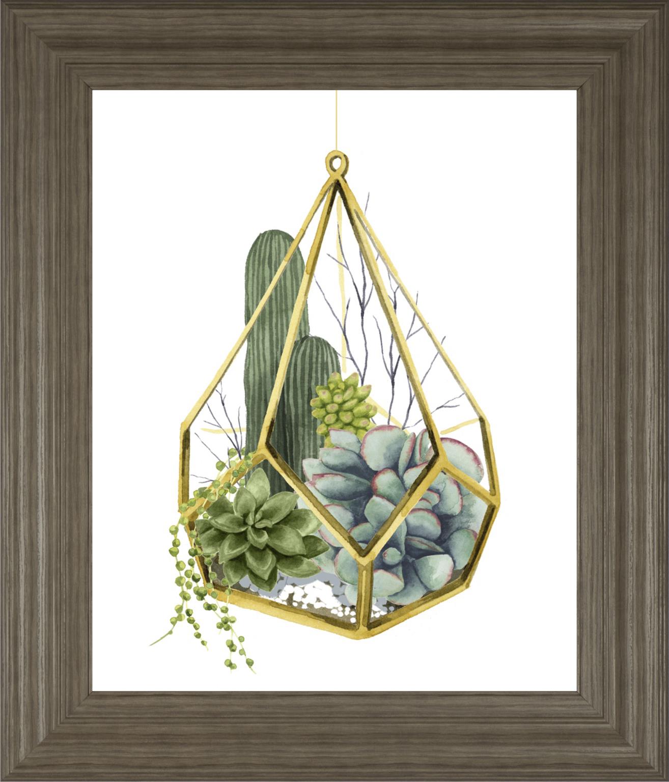 Wild Terrarium Iv By Grace Popp 22X26 Framed Print