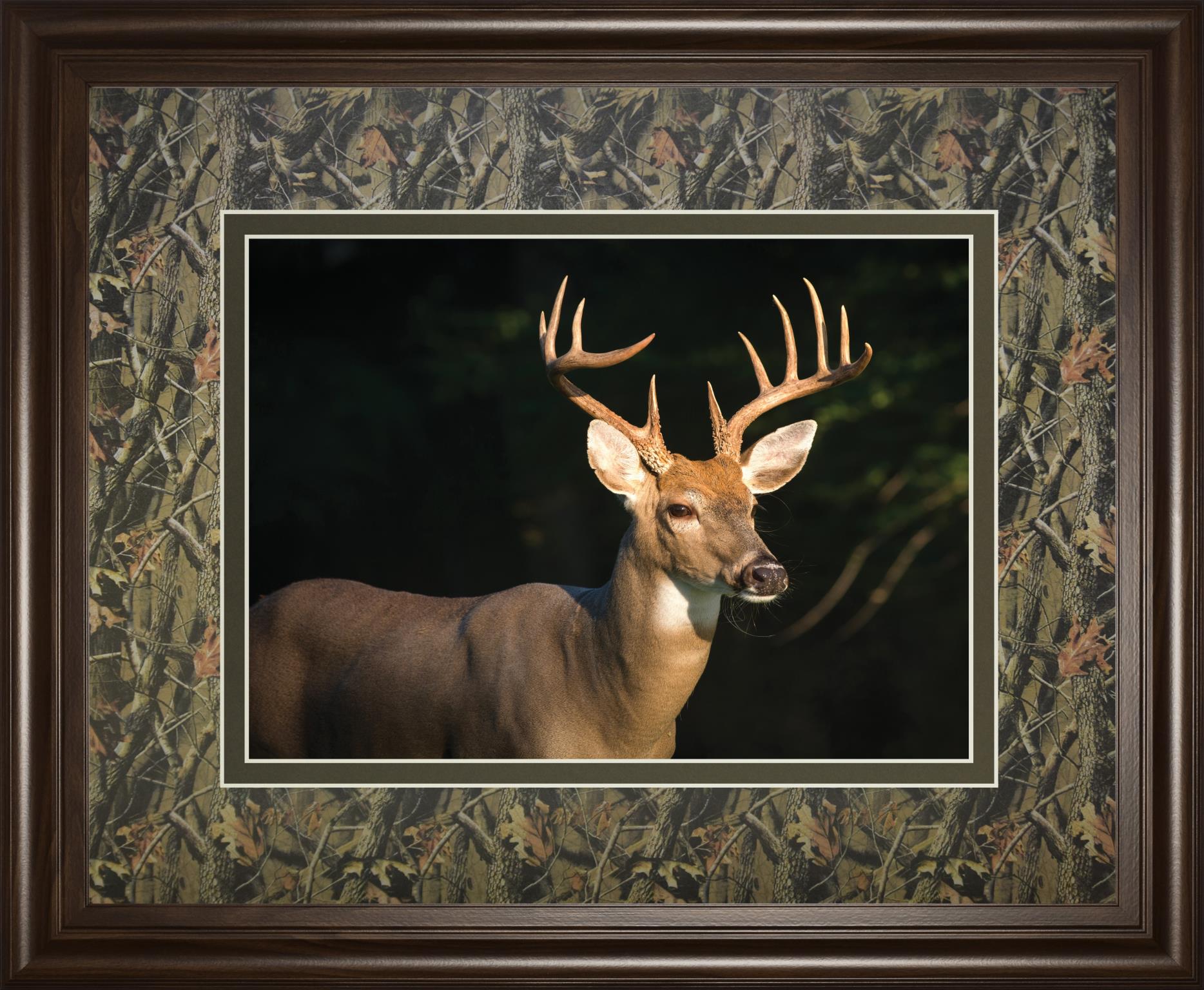 White Tail Buck By Tony Campbell 34X40 Framed Print
