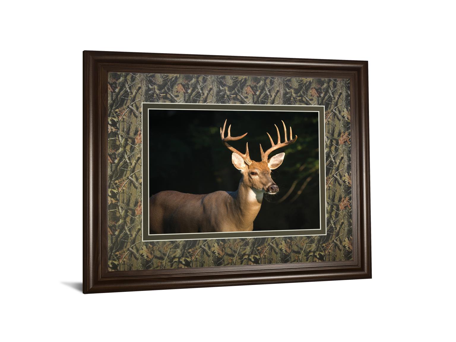 White Tail Buck By Tony Campbell 34X40 Framed Print