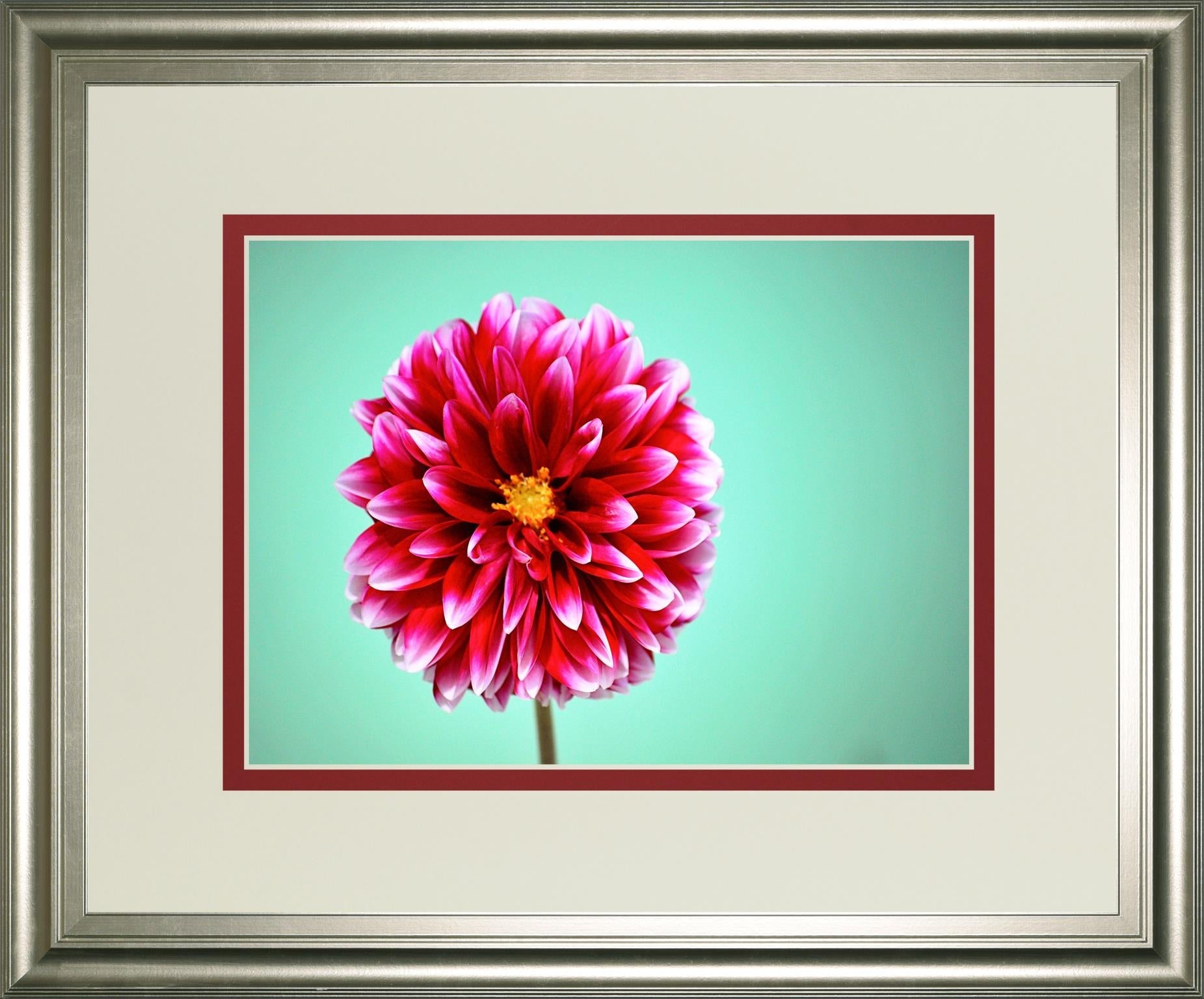 Zenia By Gail Peck 34X40 Framed Print