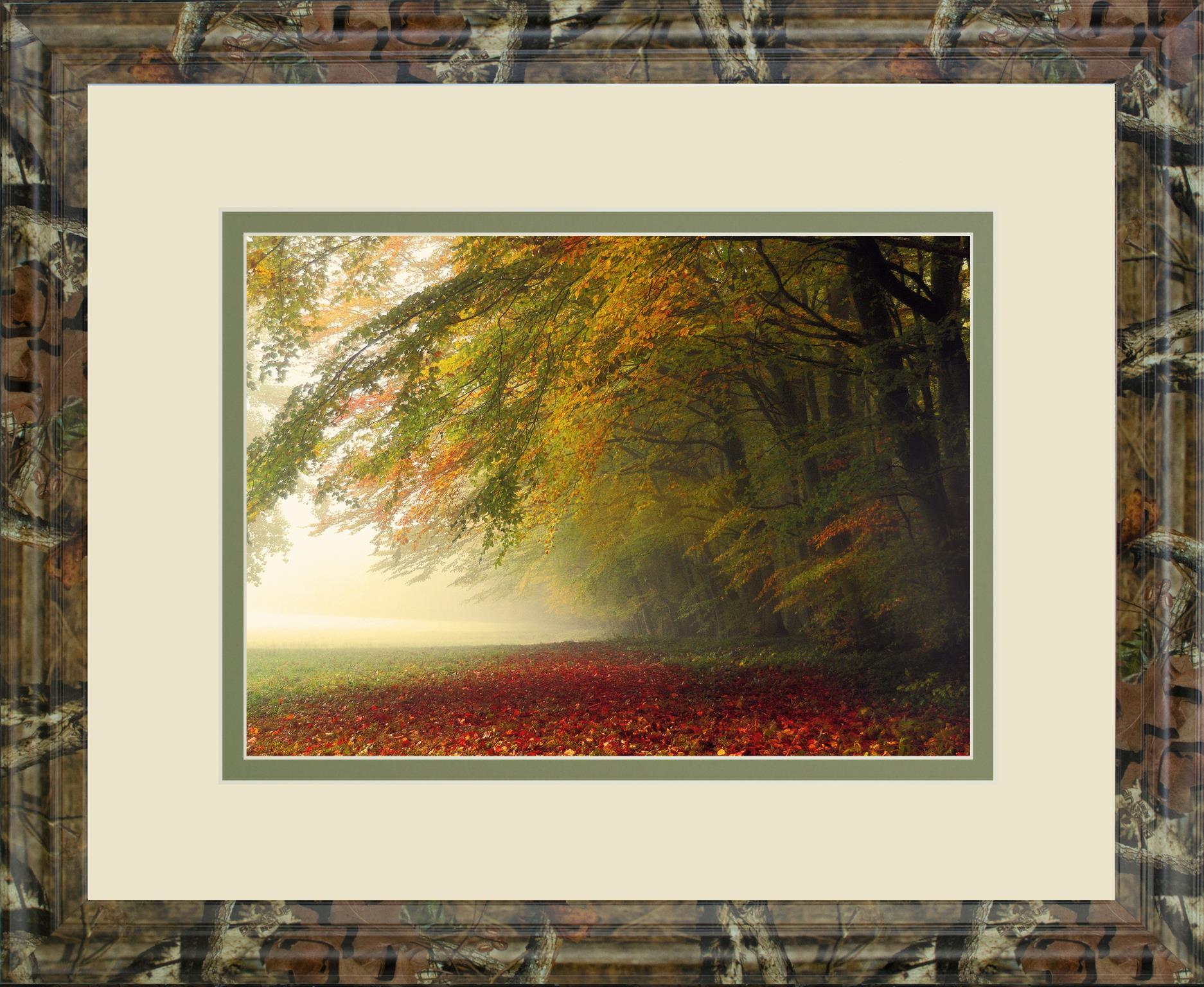 Your Beauty Silences Me By Irene Weisz ***Monl*** 34X40 Framed Print