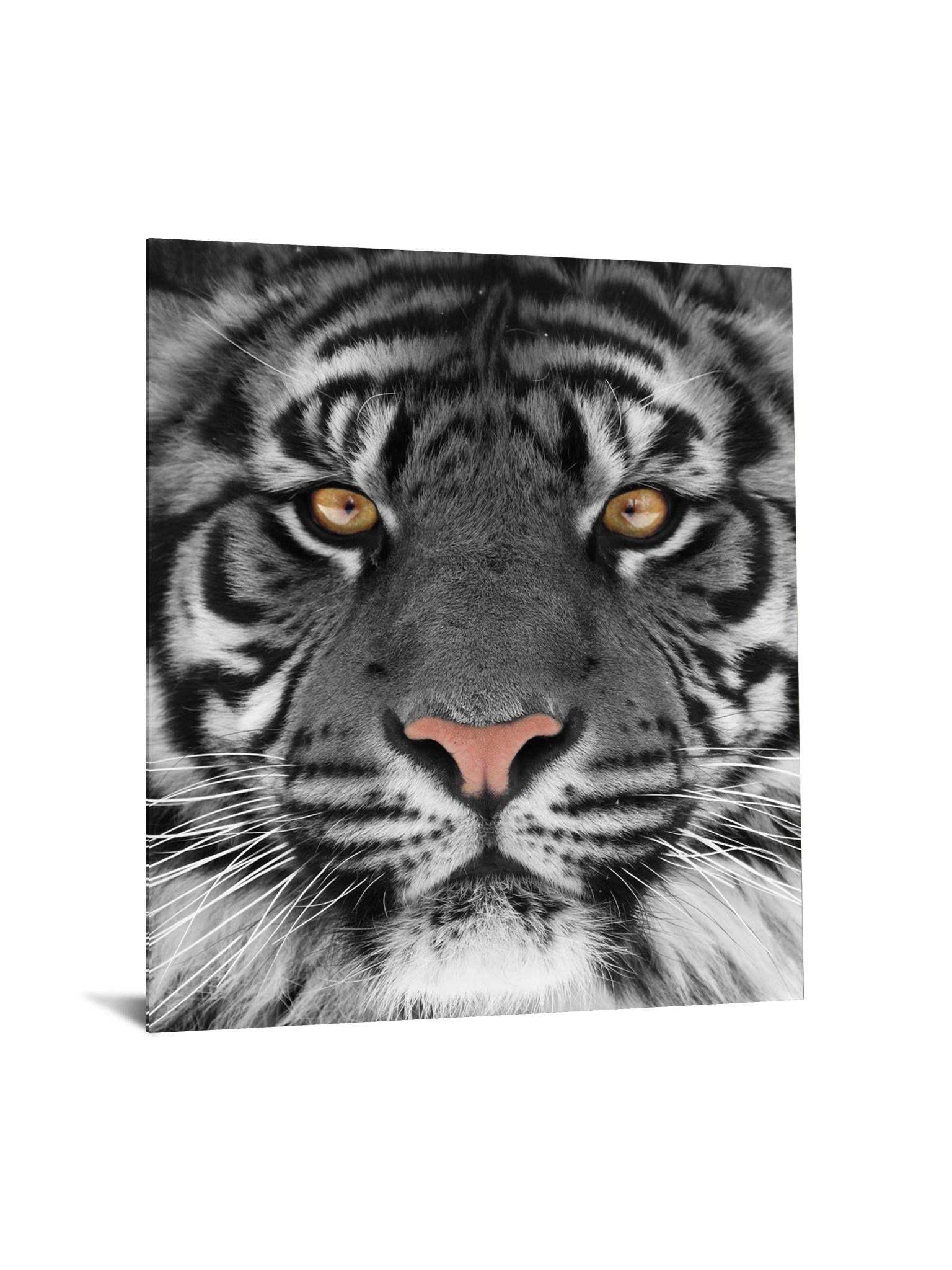 Temp Glass W/Foil - White Tiger Tempered Glass