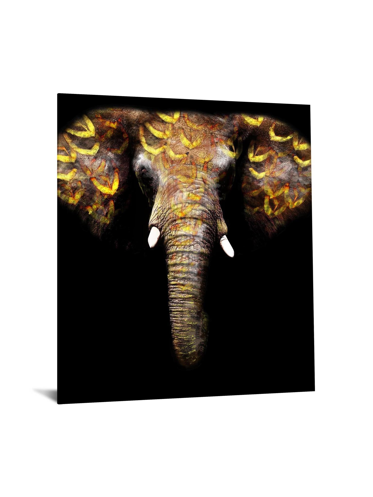 Temp Glass W/Foil - Gold Elephant Tempered Glass