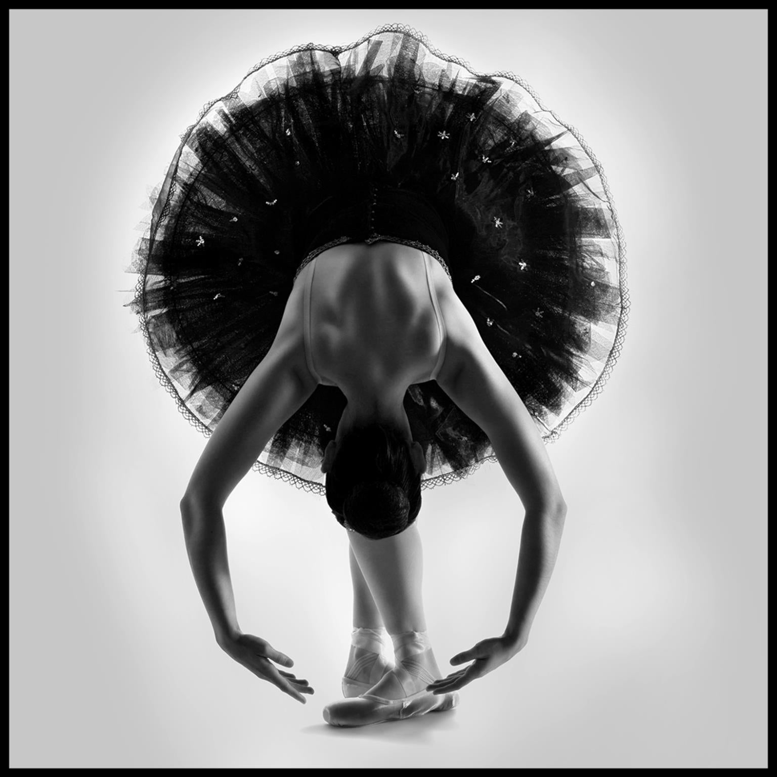 Temp Glass W/Foil - Black & White Ballerina Tempered Glass