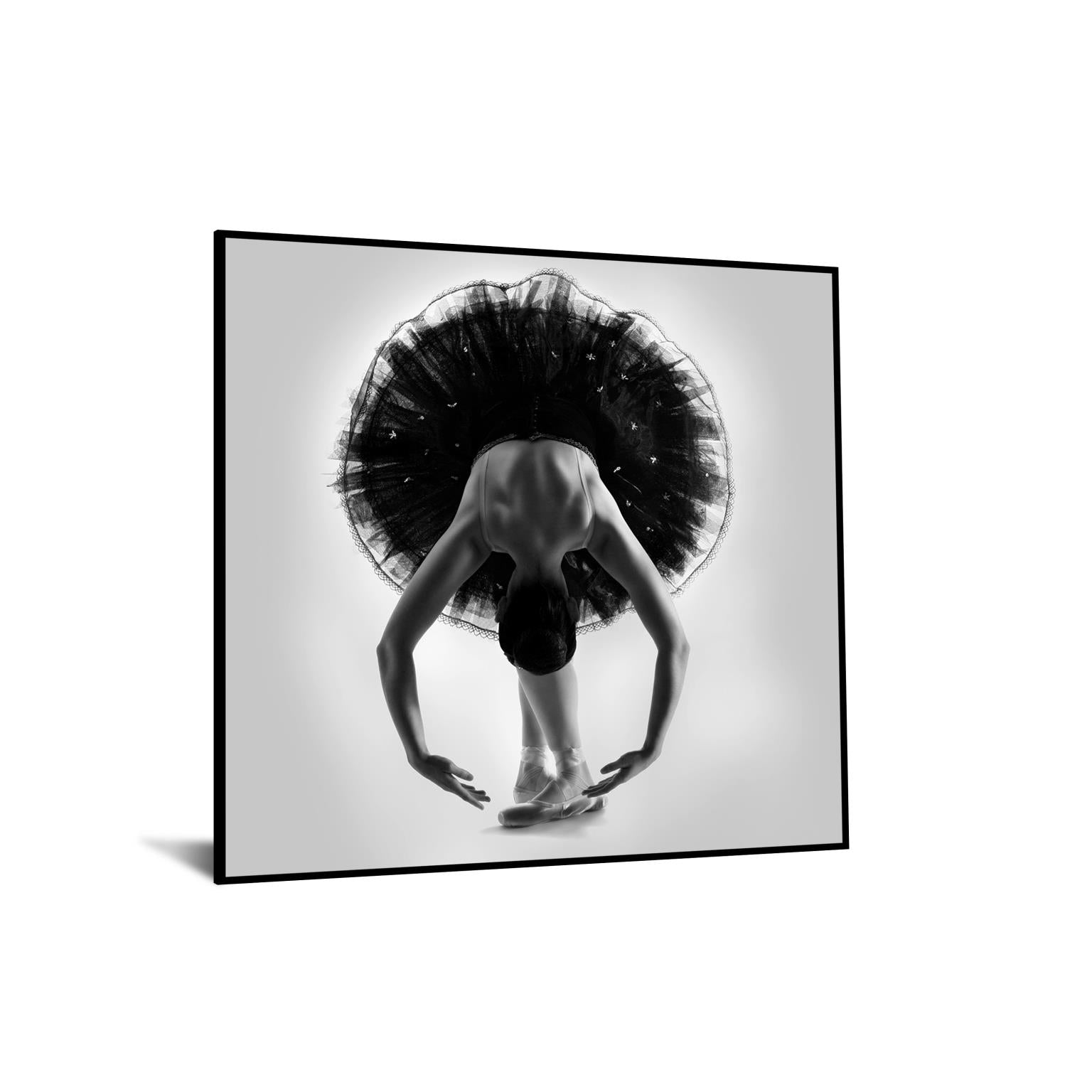 Temp Glass W/Foil - Black & White Ballerina Tempered Glass