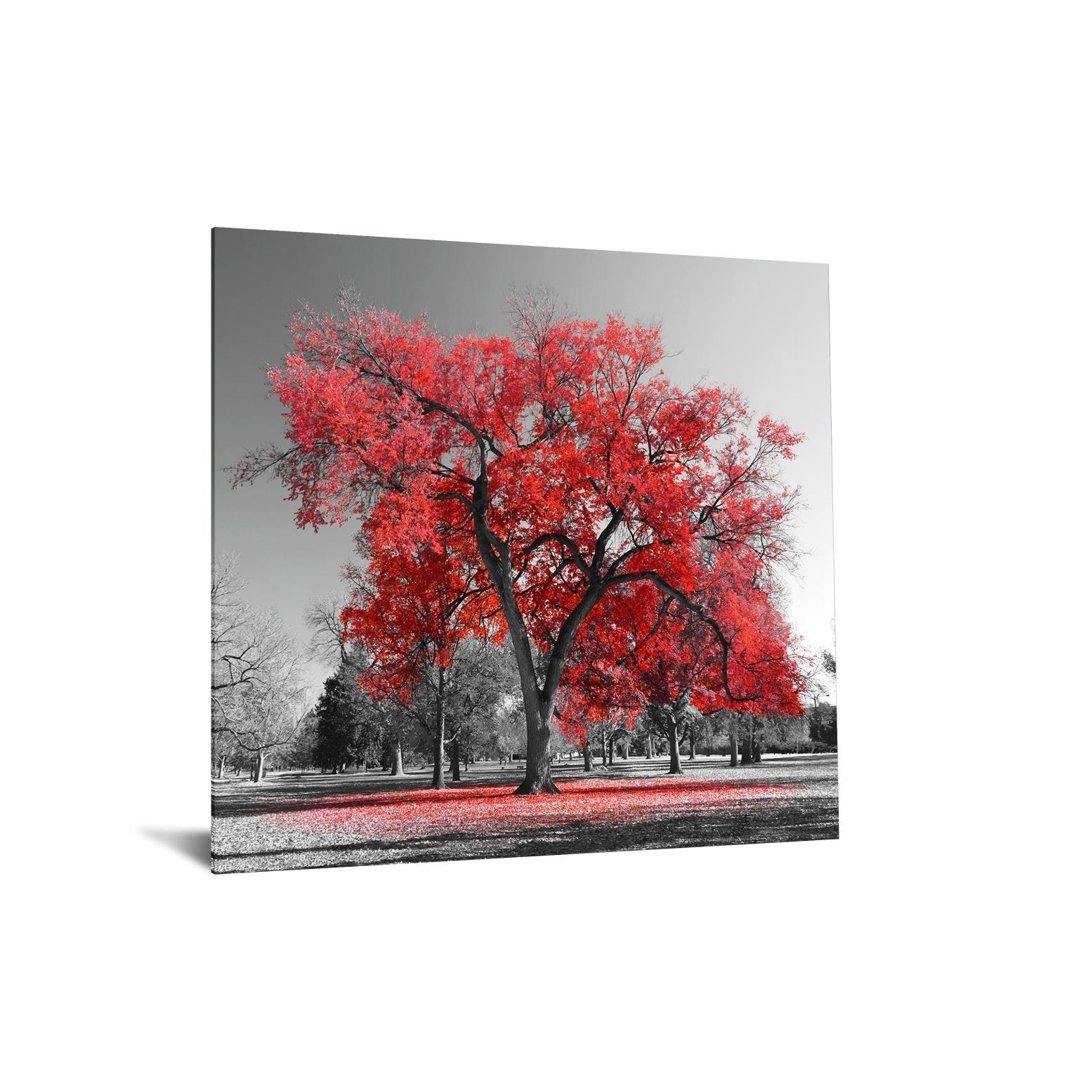 Temp Glass W/Foil - Red Tree Tempered Glass