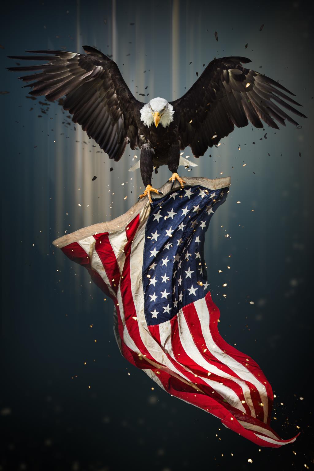 Temp Glass W/Foil - Eagle Flag Tempered Glass
