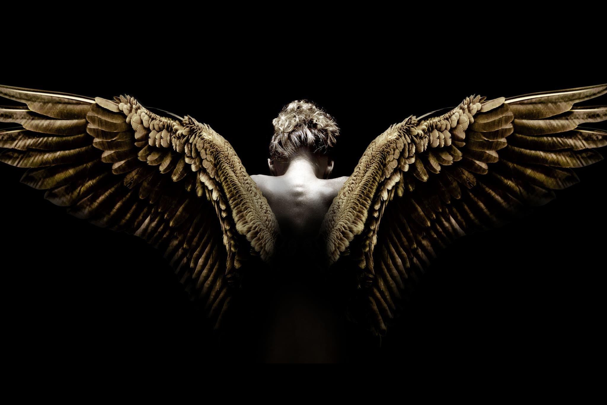 Temp Glass W/Foil - Spread Wings Tempered Glass
