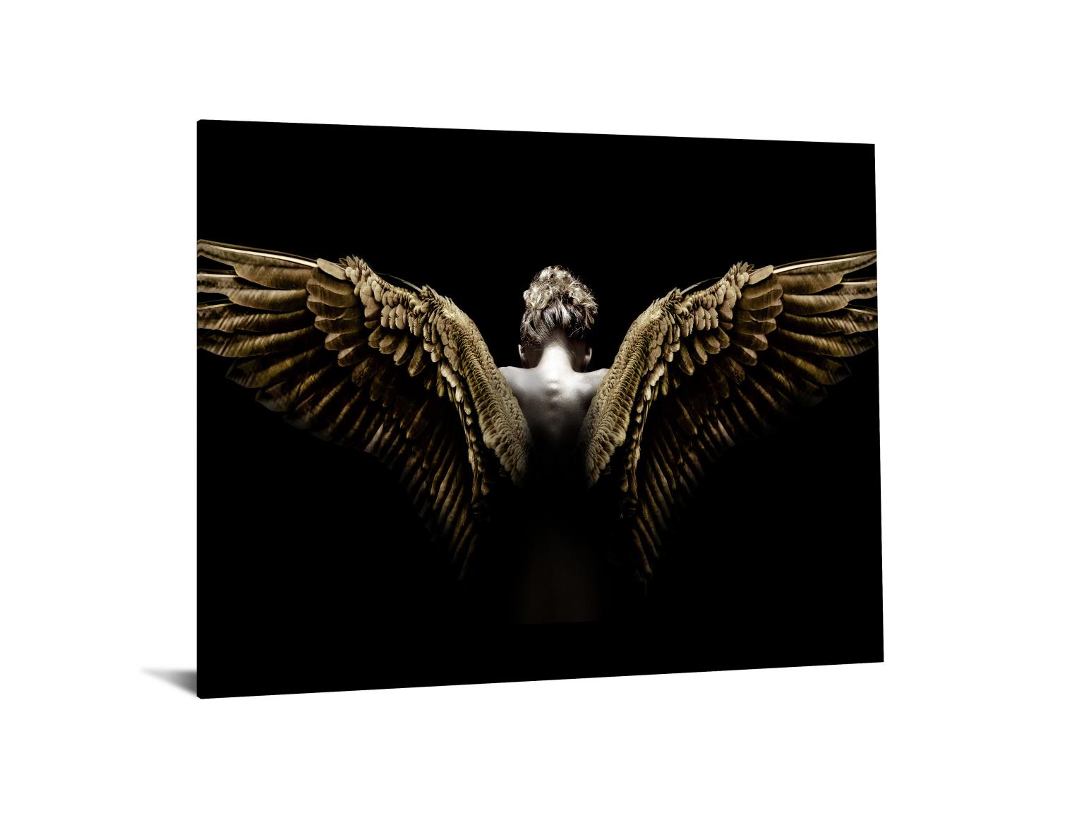 Temp Glass W/Foil - Spread Wings Tempered Glass