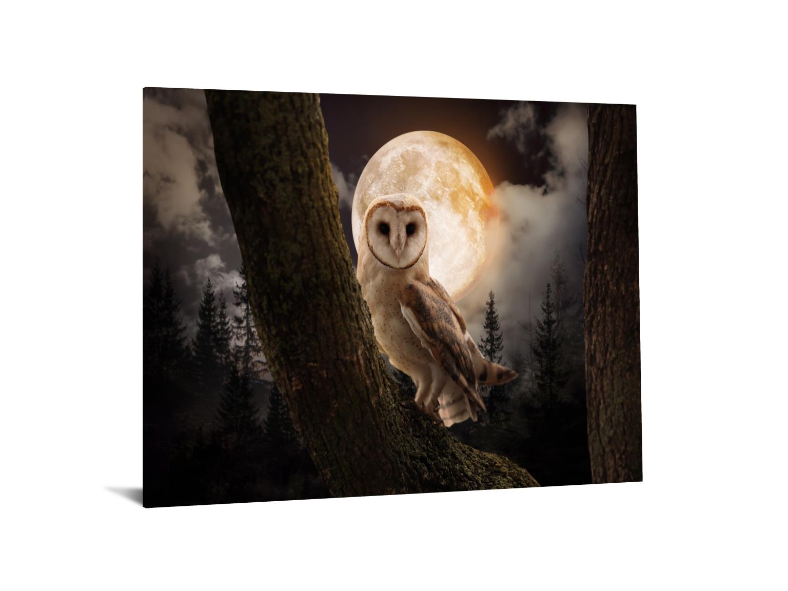 Temp Glass W/Foil -Night Owl Tempered Glass