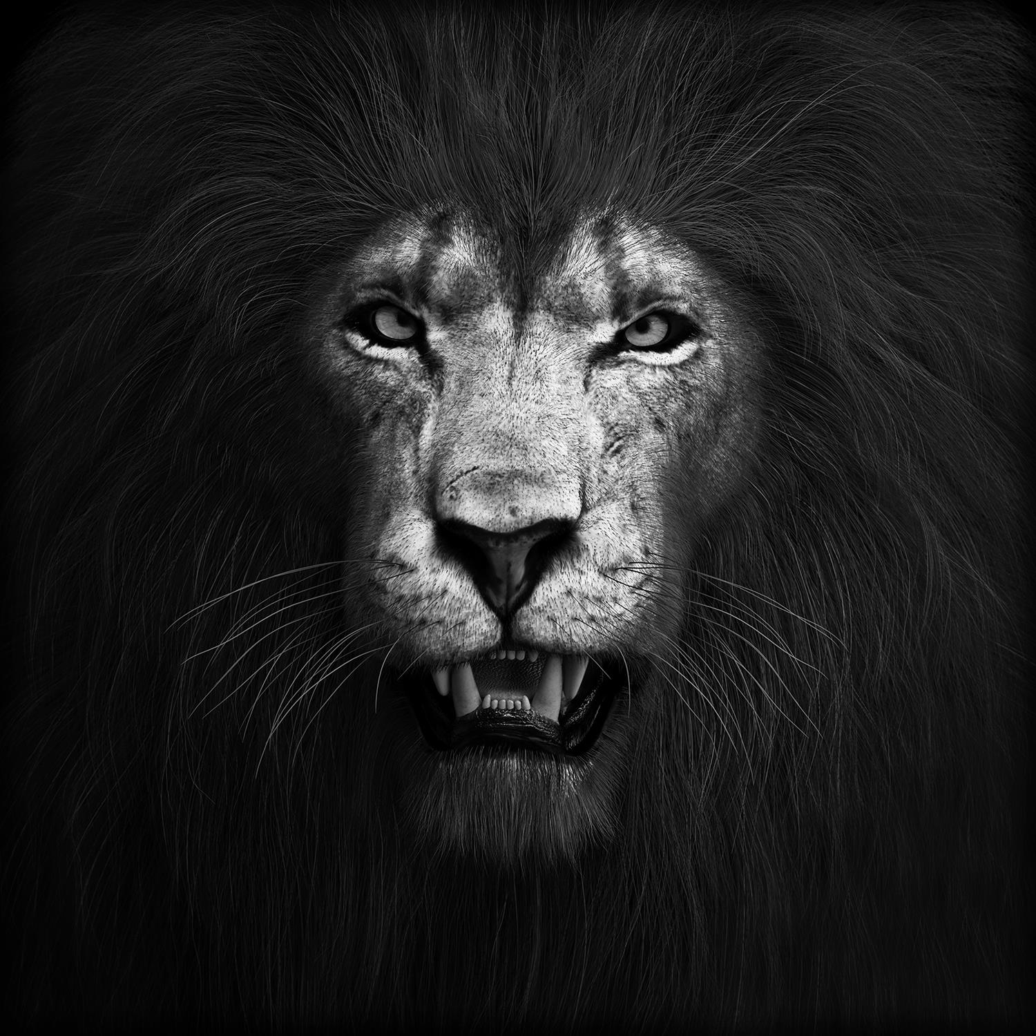 Temp Glass W/Foil -Lion B & W Tempered Glass
