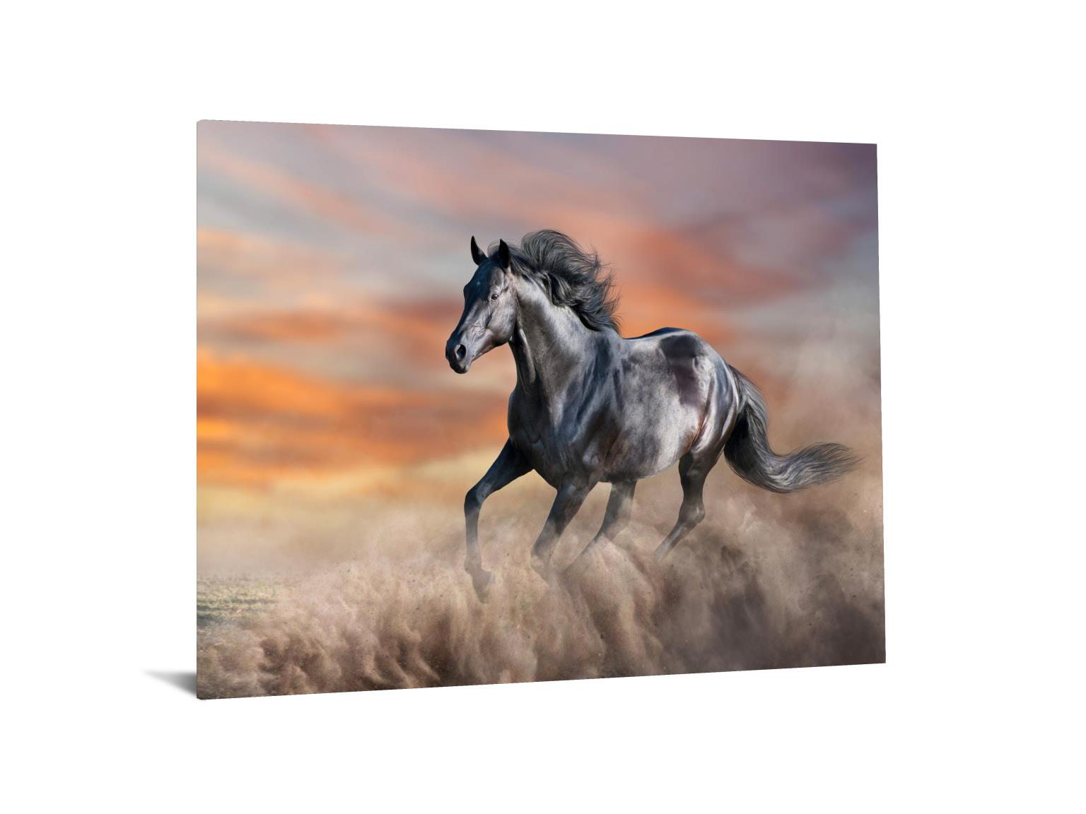 Temp Glass W/Foil -Running Horse Tempered Glass