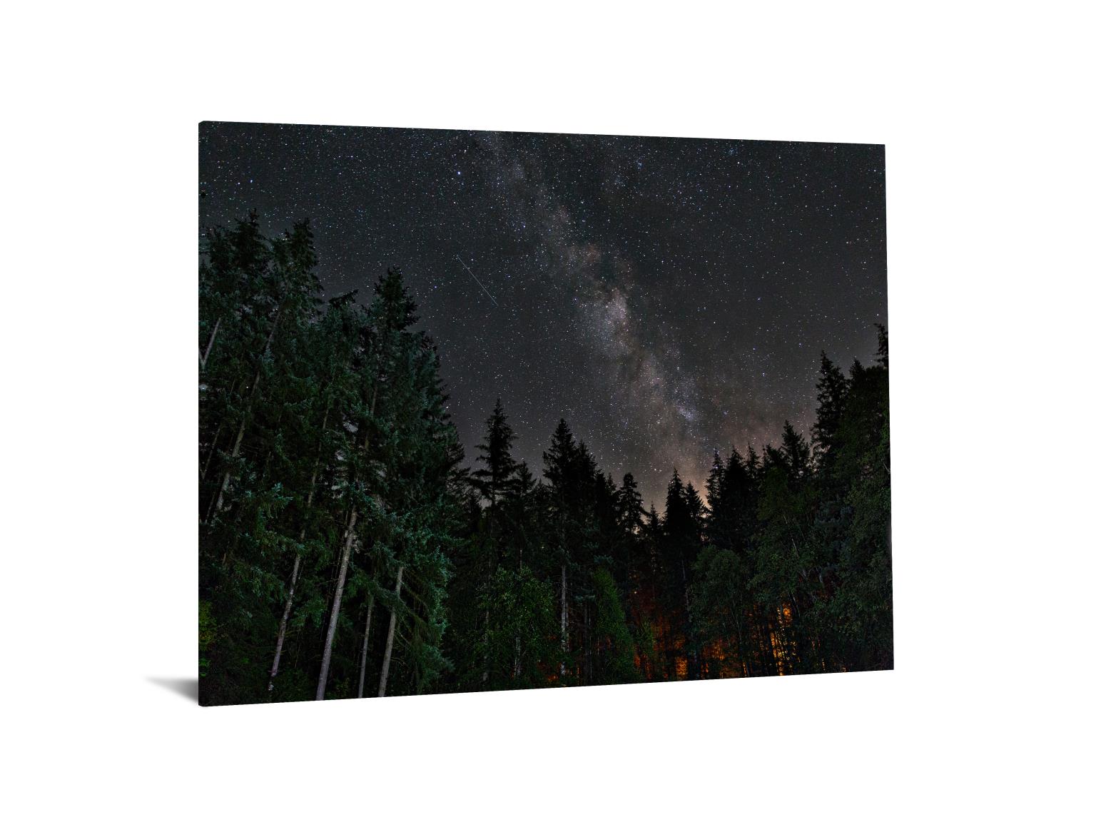 Temp Glass W/Foil -Starry Forest Tempered Glass